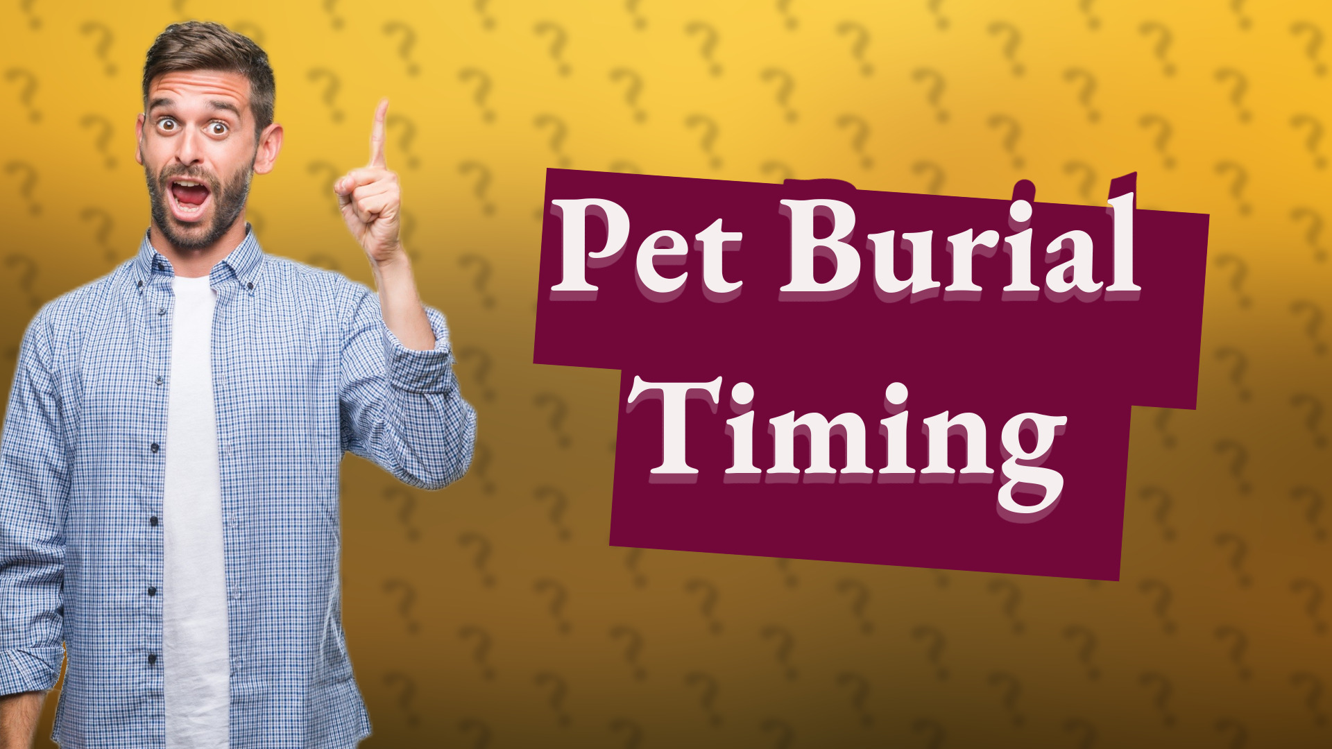 Pet Burial Timing