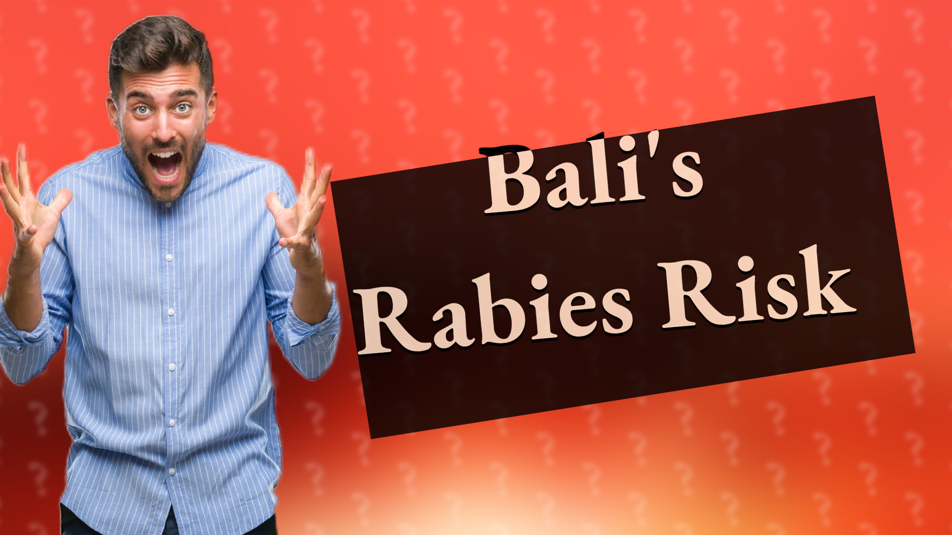 Bali's Rabies Risk