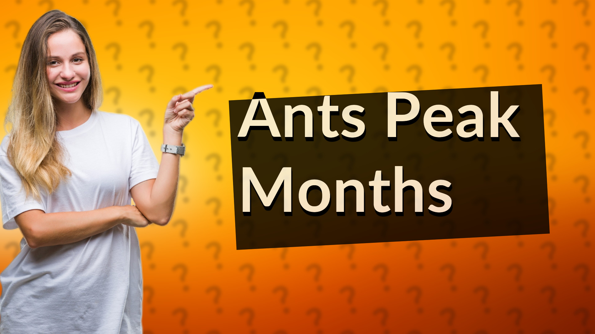 Ants Peak Months
