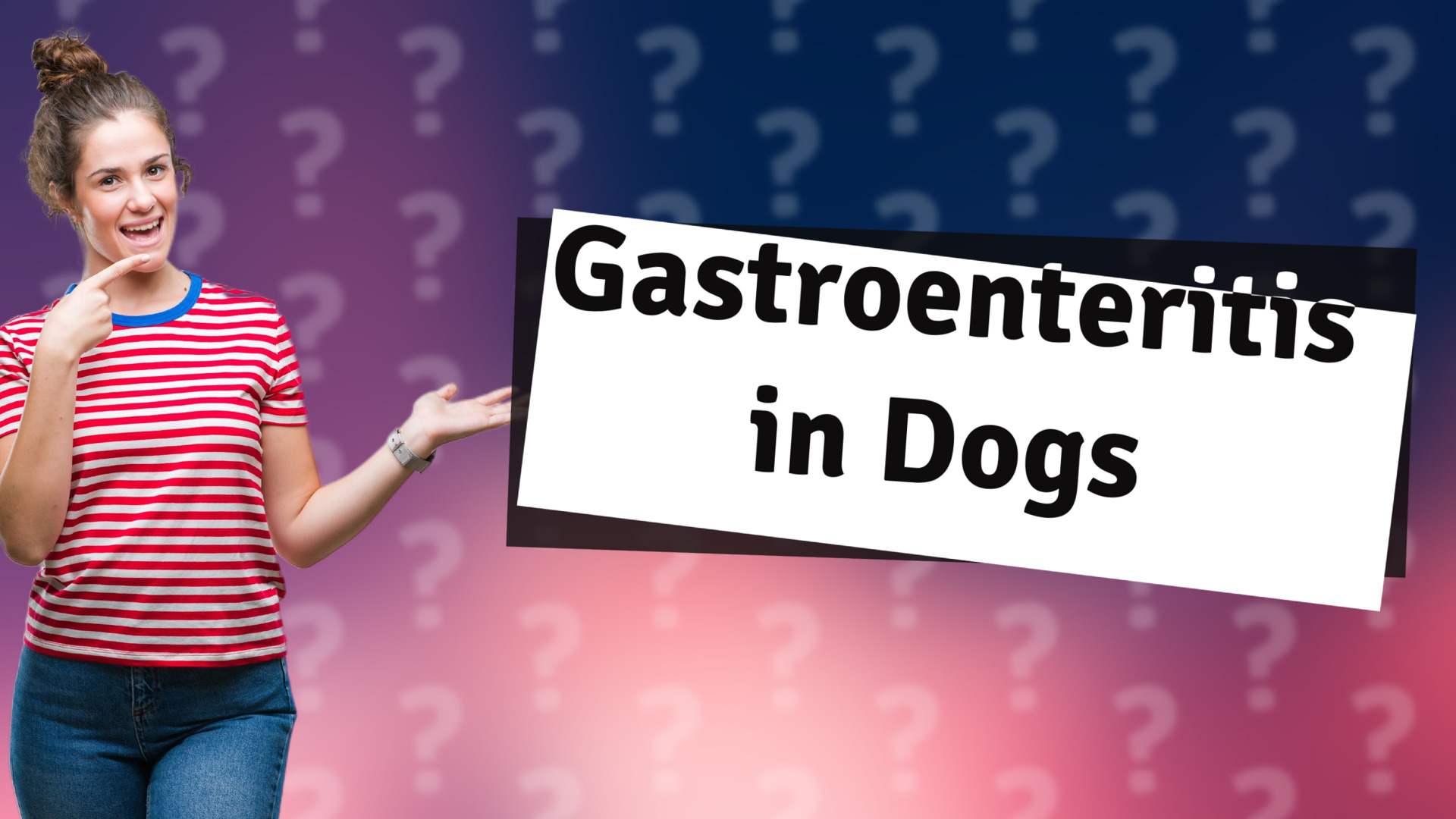 Gastroenteritis in Dogs
