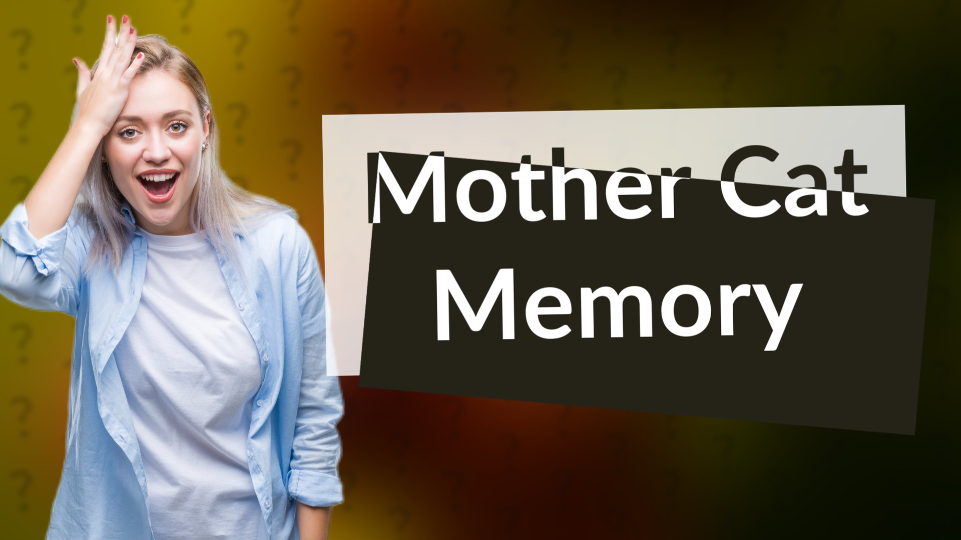 Mother Cat Memory
