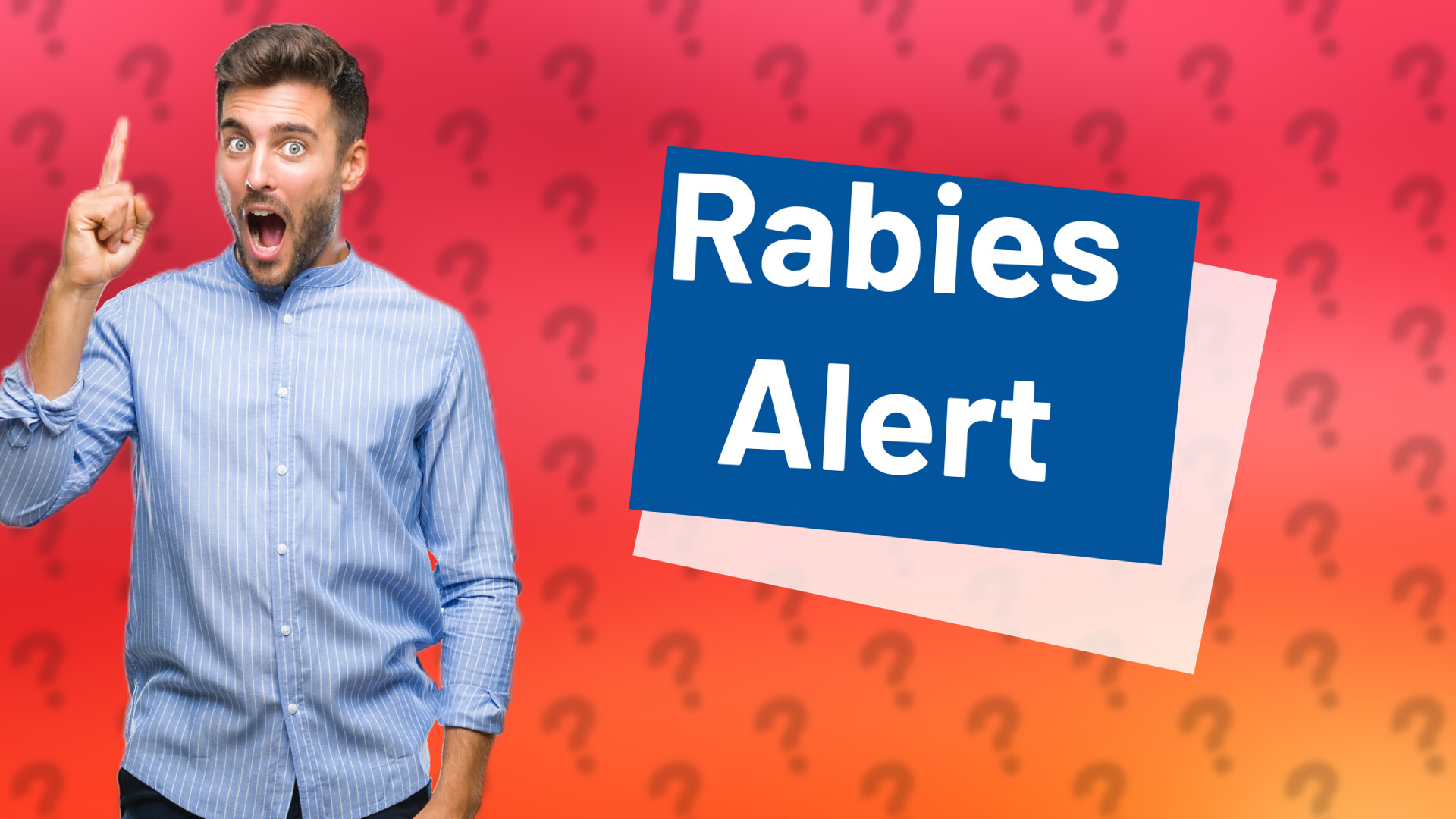 Rabies Alert