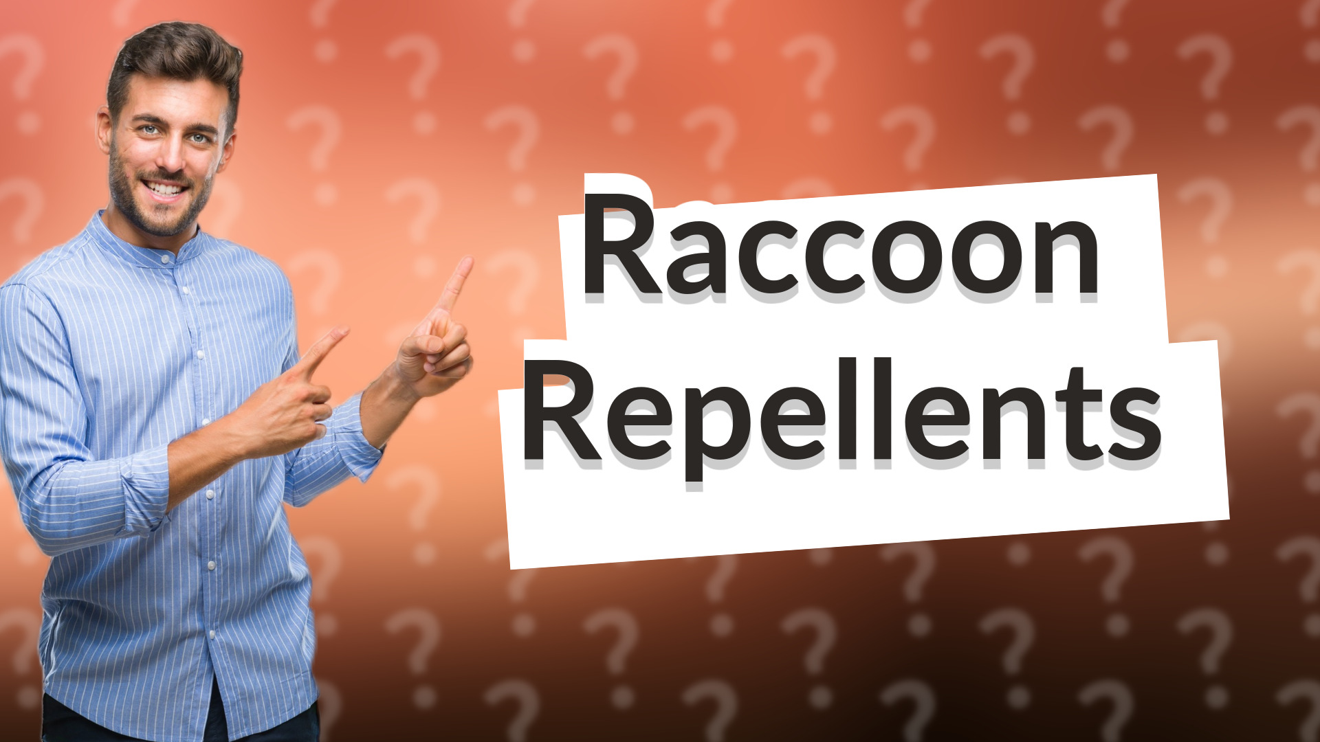 Raccoon Repellents