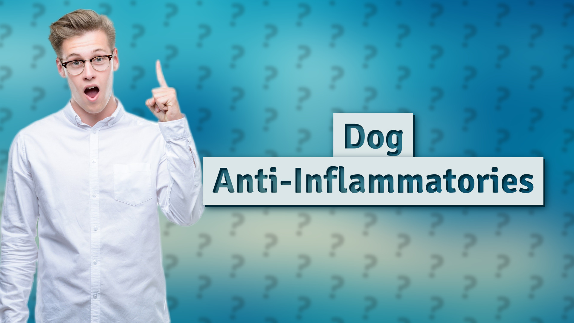 Dog Anti-Inflammatories