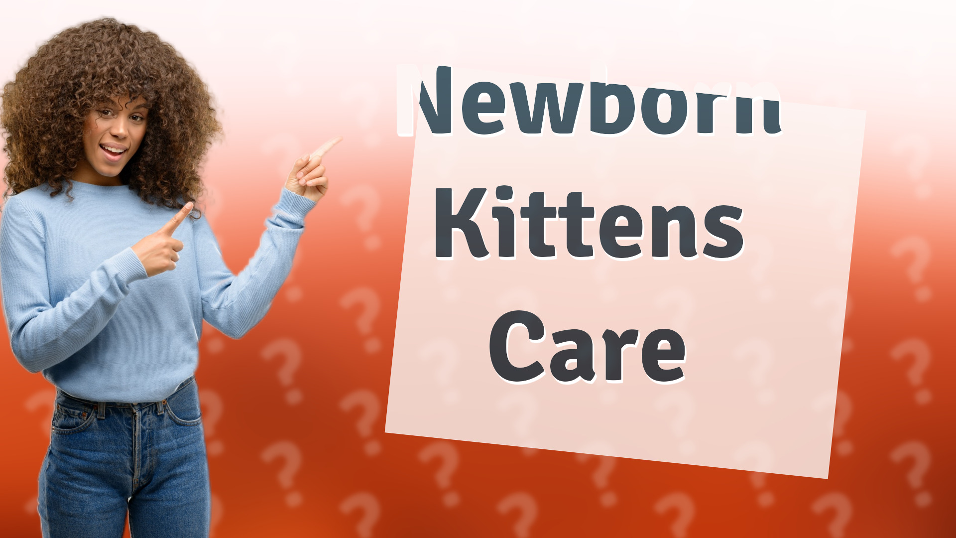 Newborn Kittens Care
