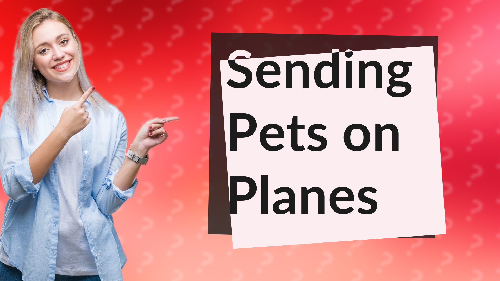 Sending Pets on Planes