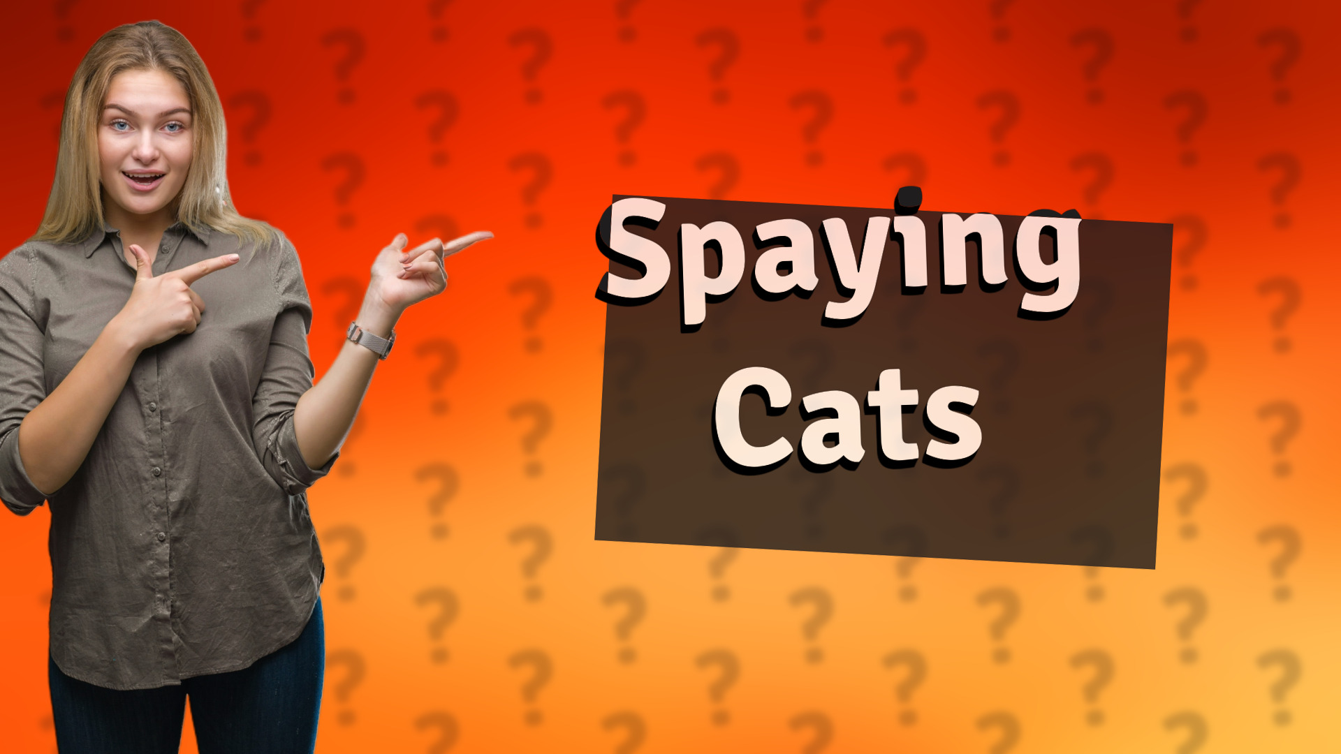 Spaying Cats