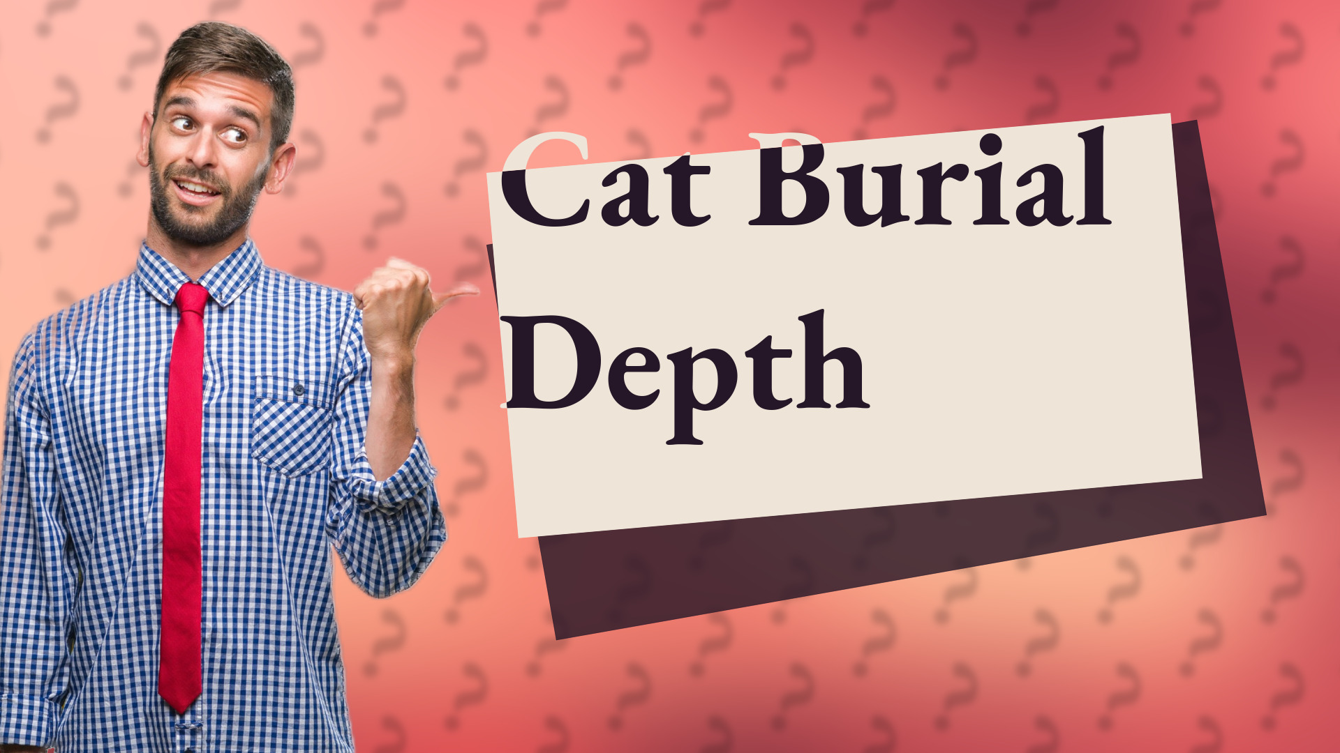 Cat Burial Depth