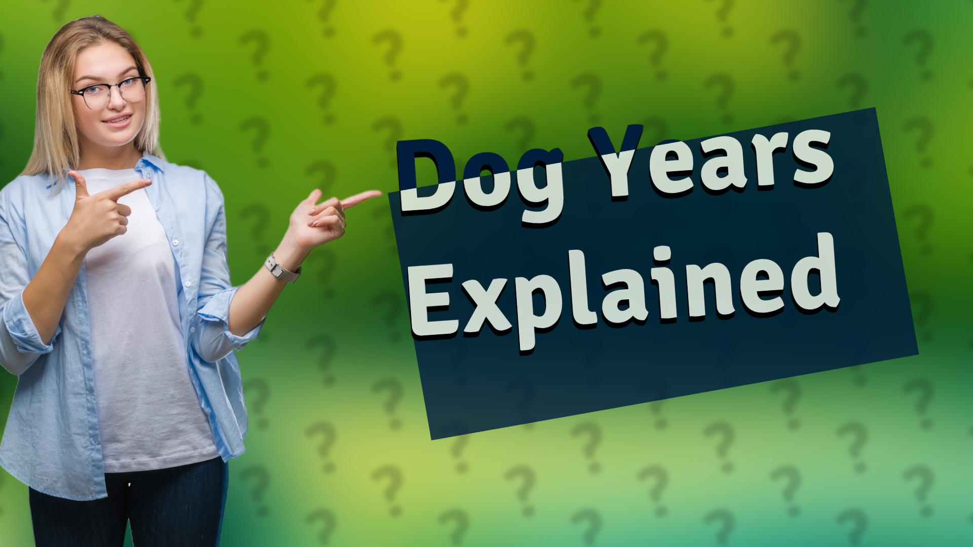 Dog Years Explained