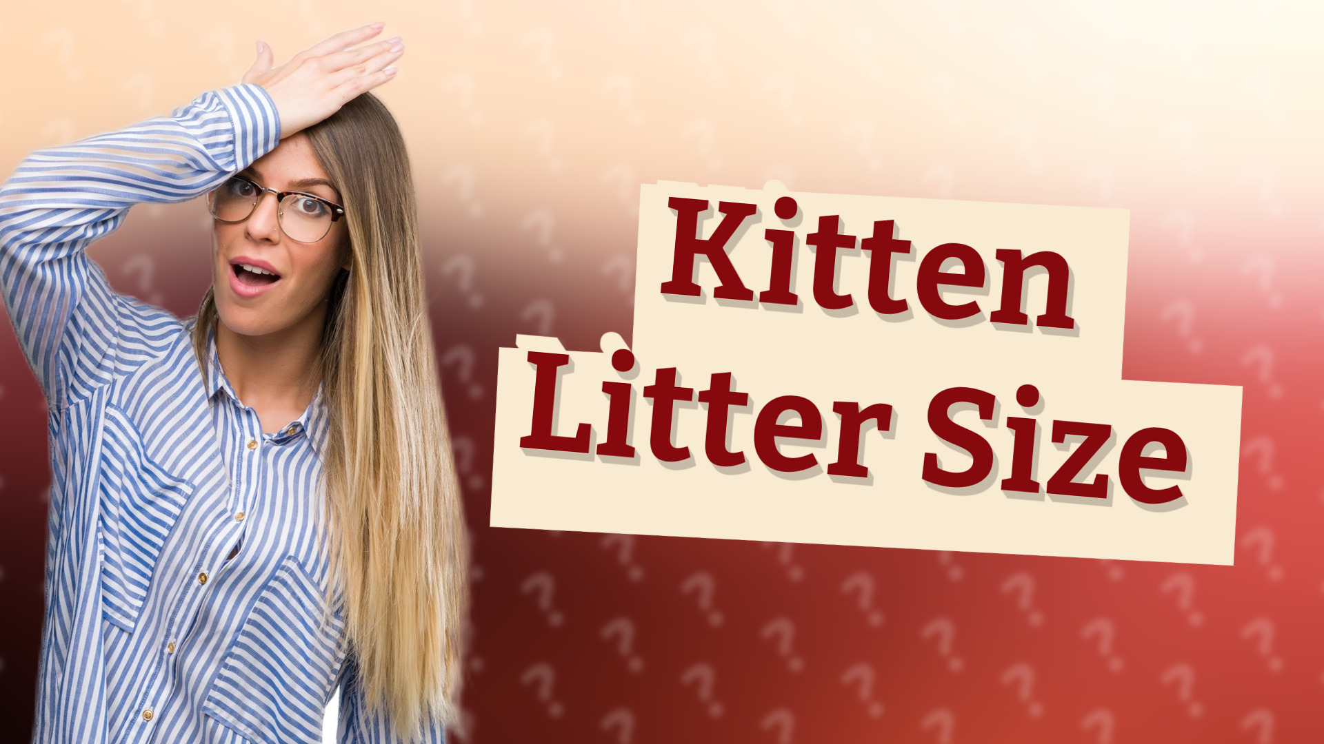 Kitten Litter Size