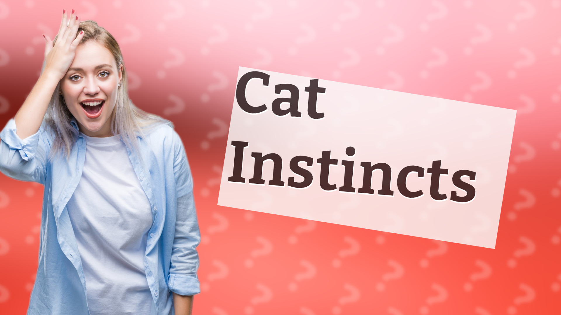 Cat Instincts