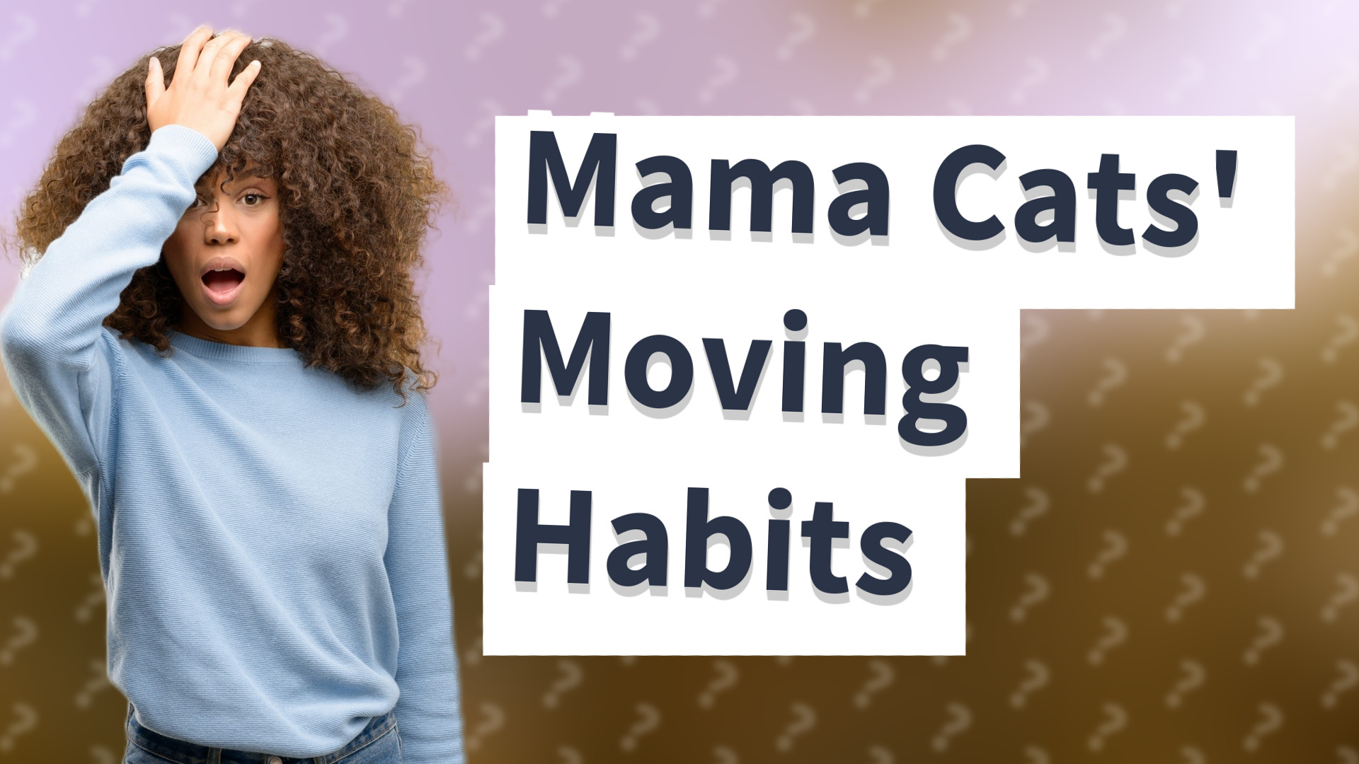 Mama Cats' Moving Habits