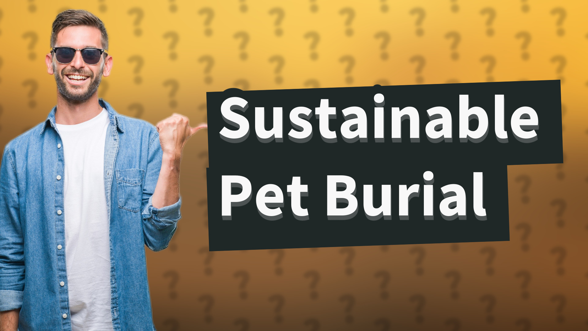 Sustainable Pet Burial