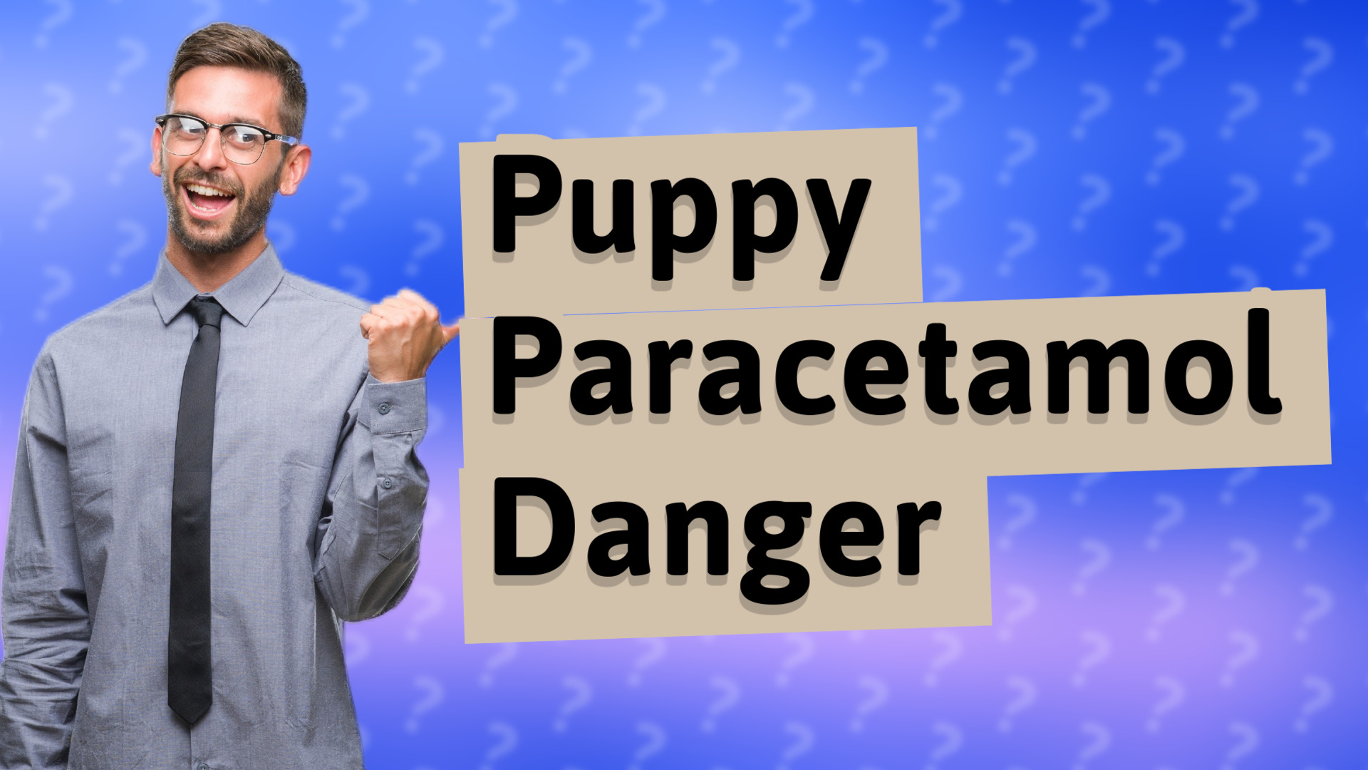 Puppy Paracetamol Danger