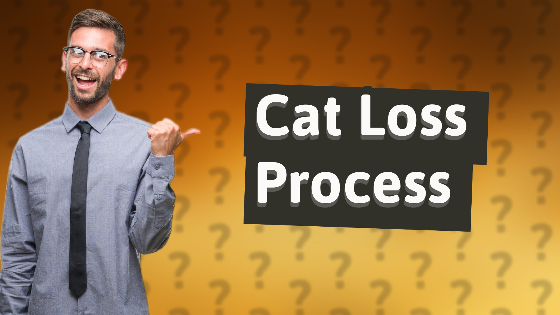 Cat Loss Process