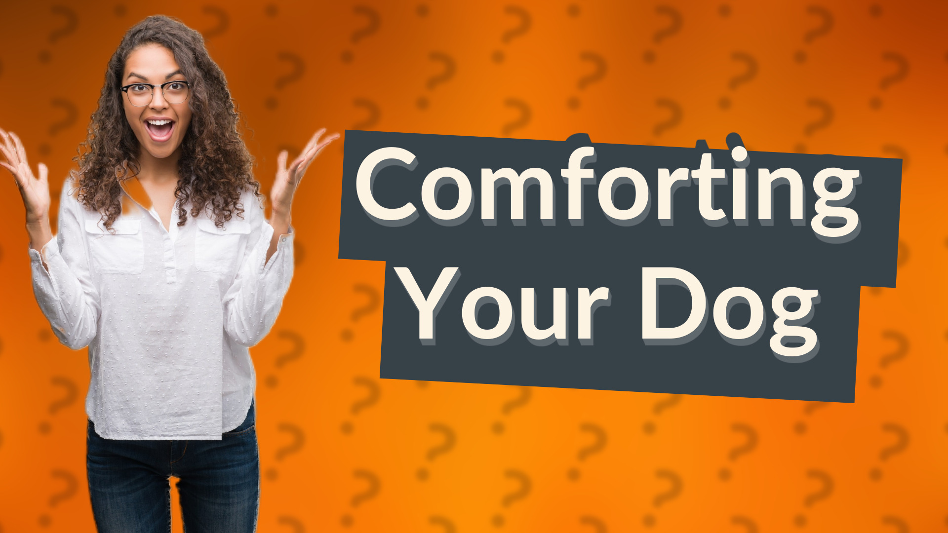 Comforting Your Dog