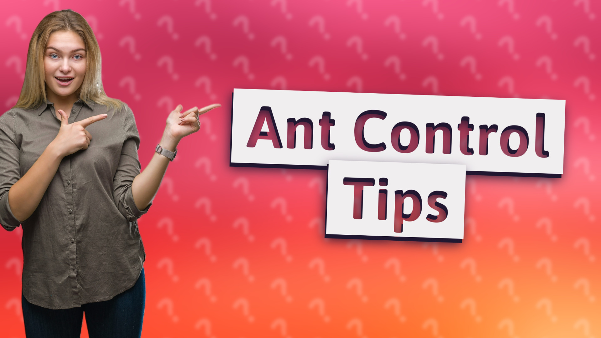 Ant Control Tips