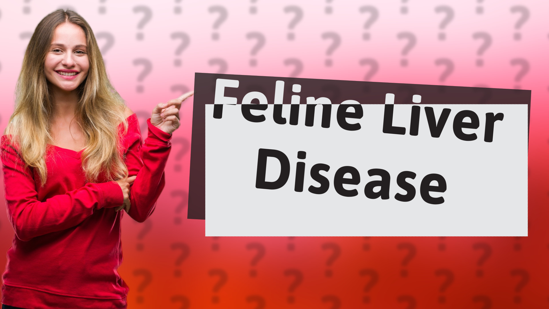 Feline Liver Disease