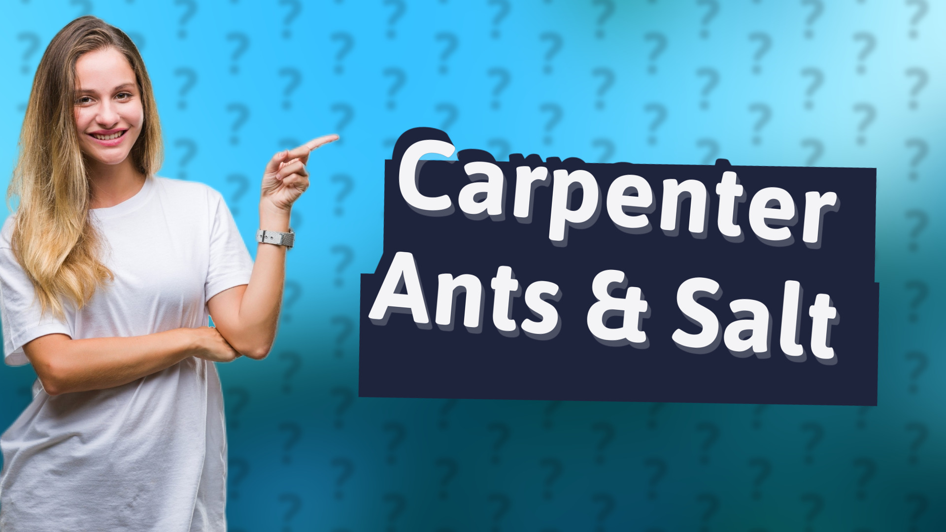 Carpenter Ants & Salt