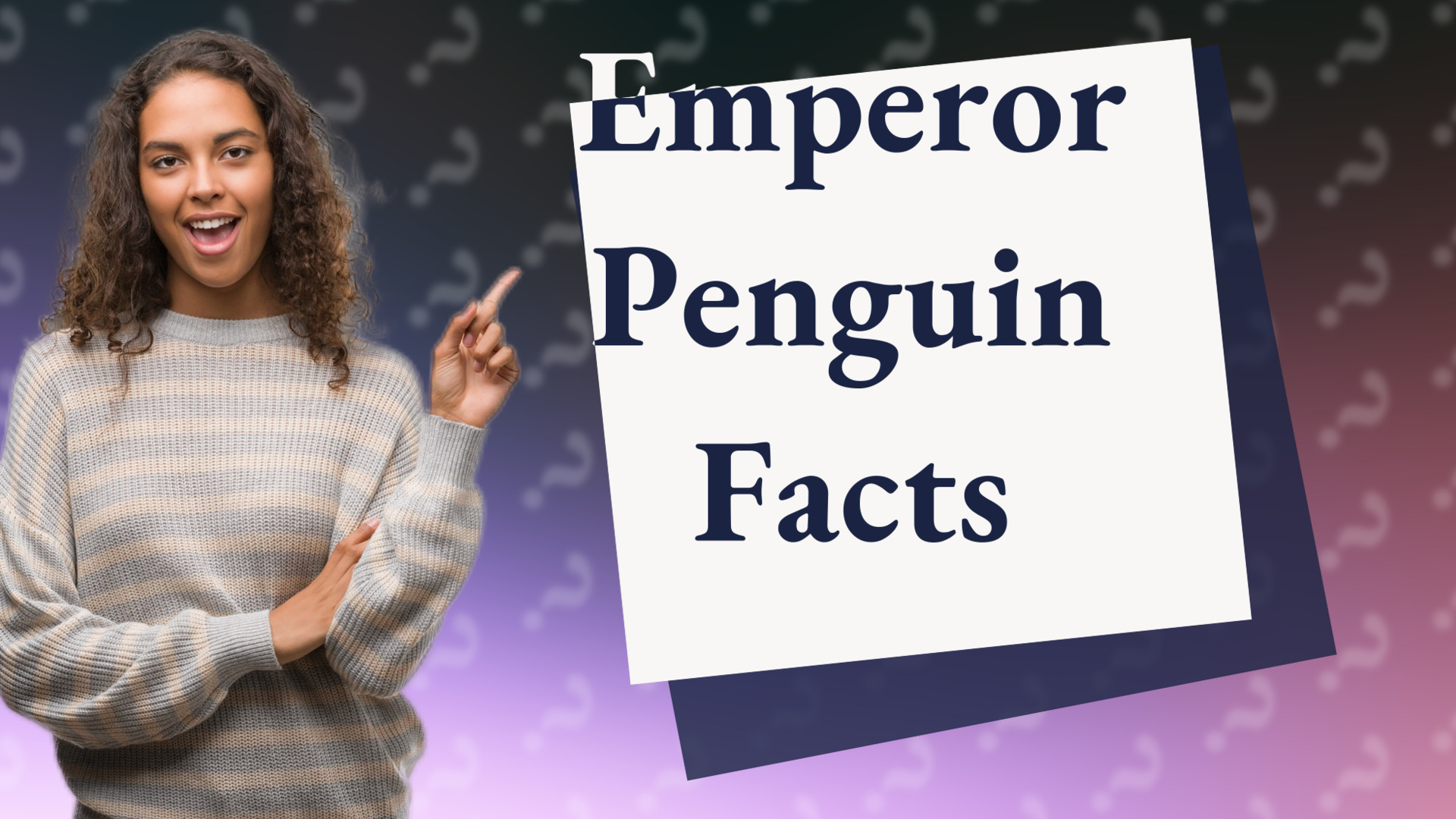 Emperor Penguin Facts