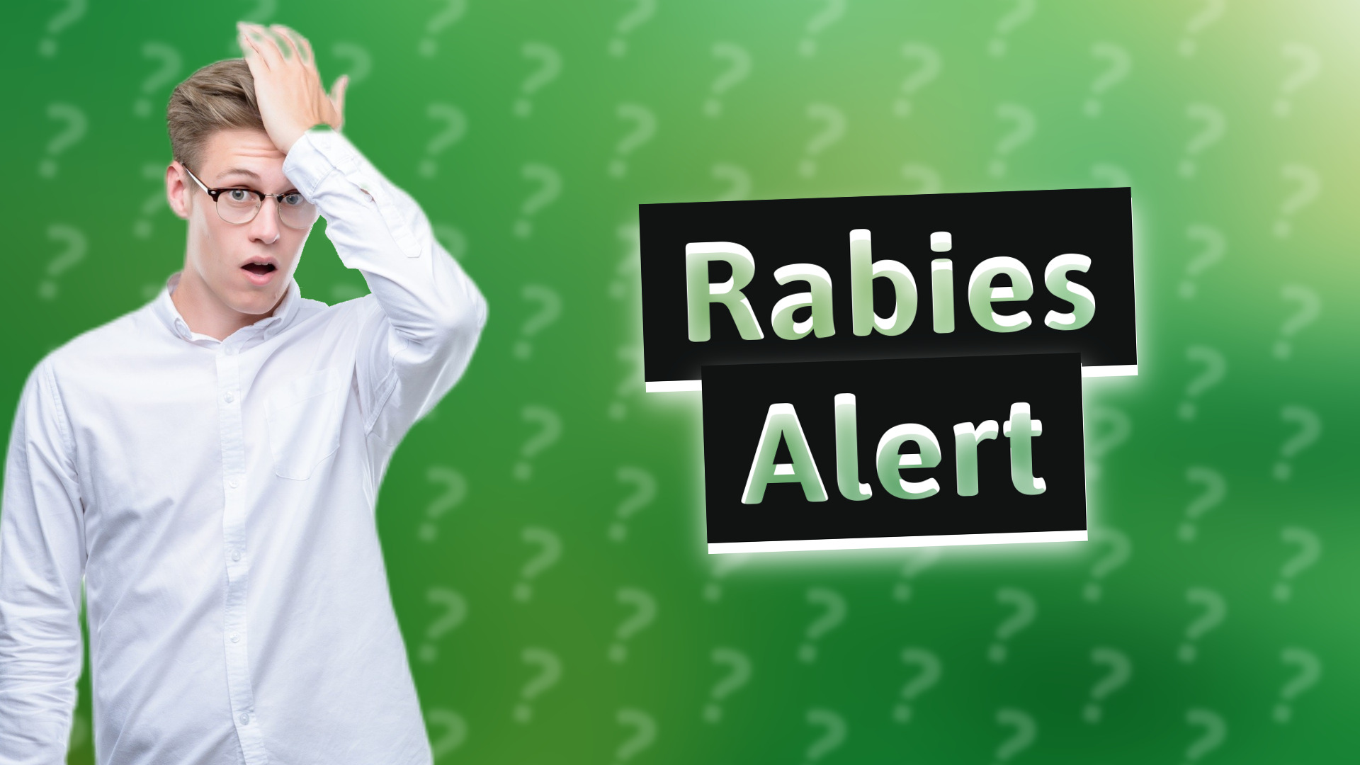 Rabies Alert