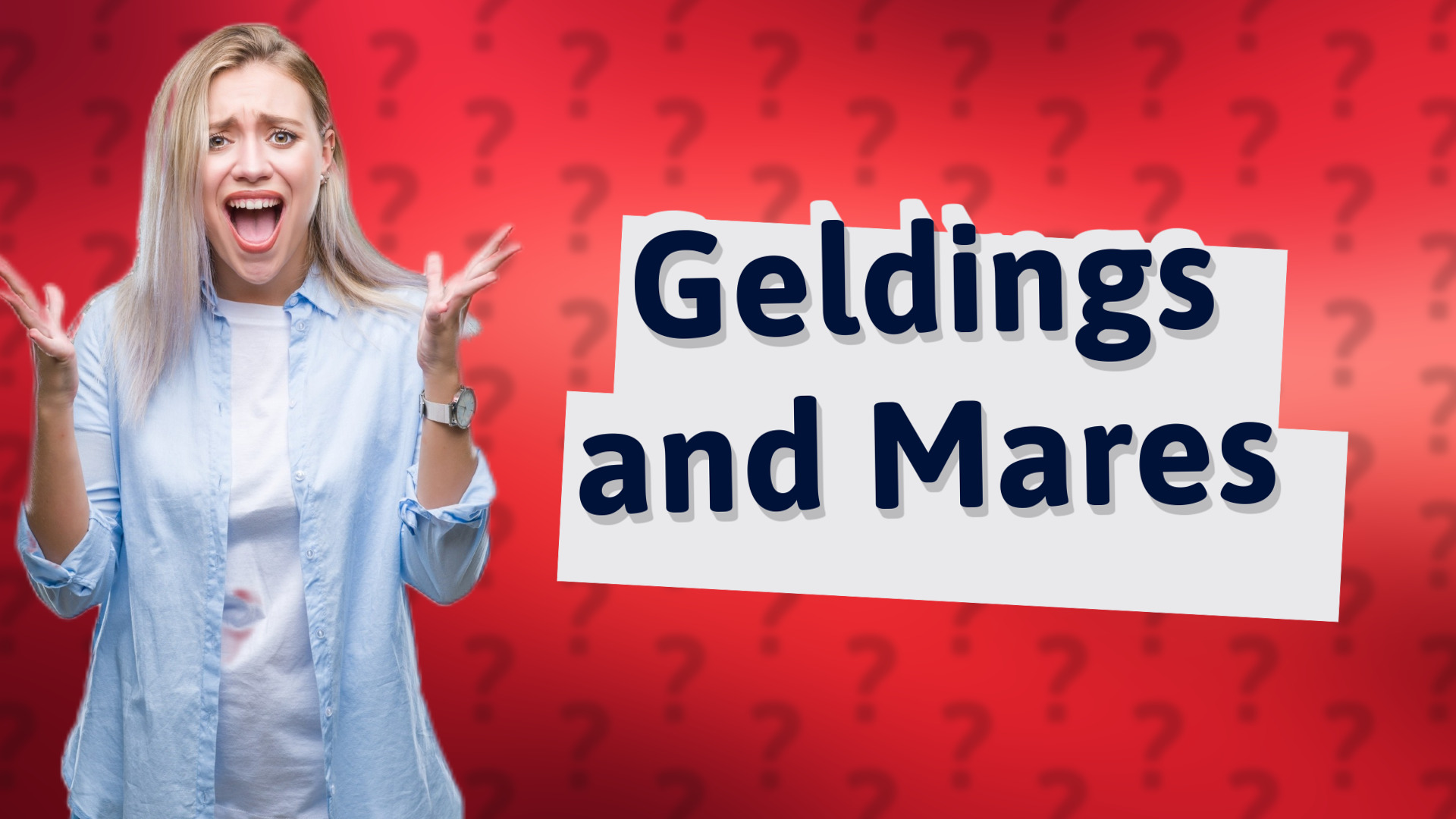 Geldings and Mares