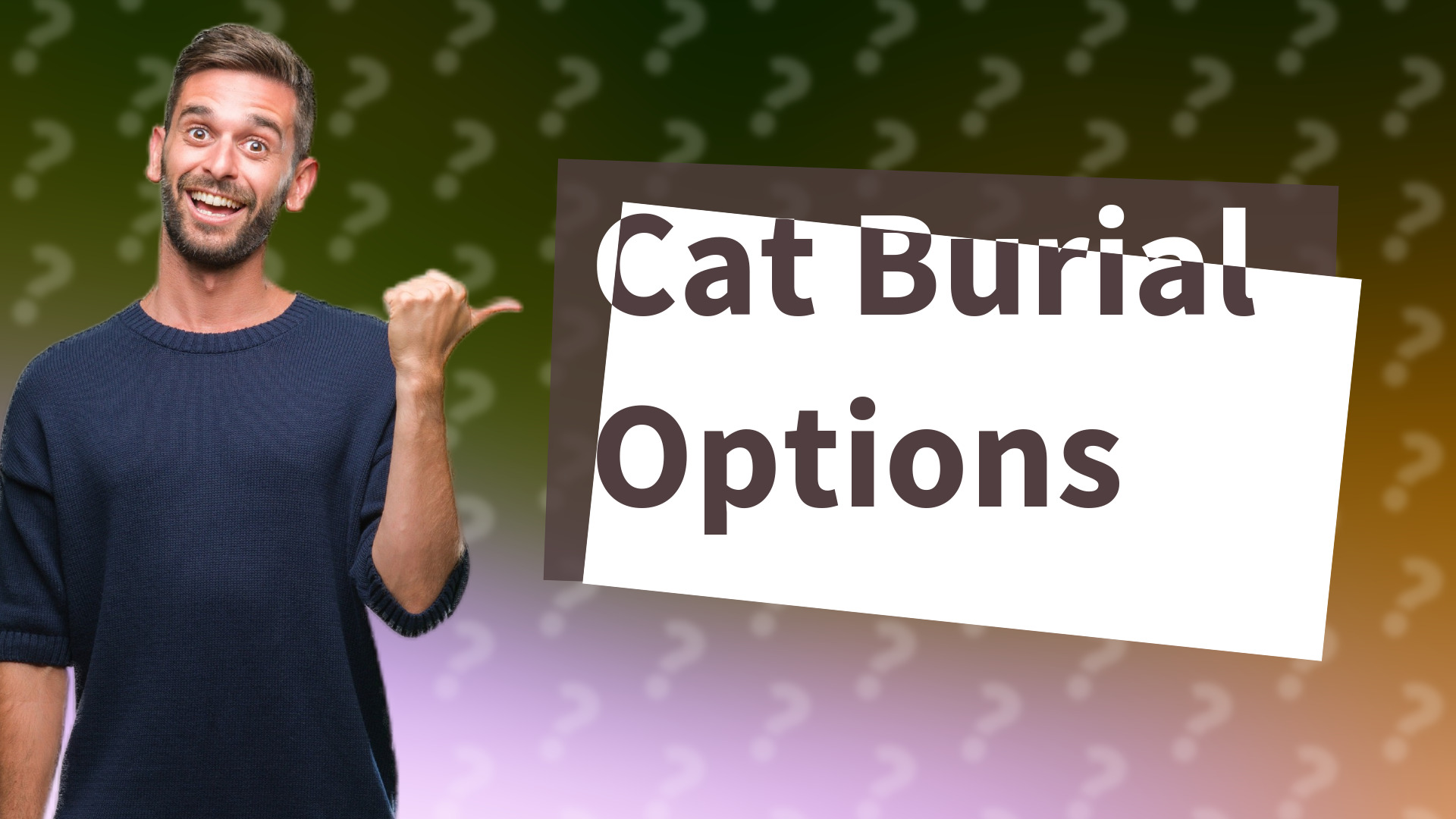 Cat Burial Options