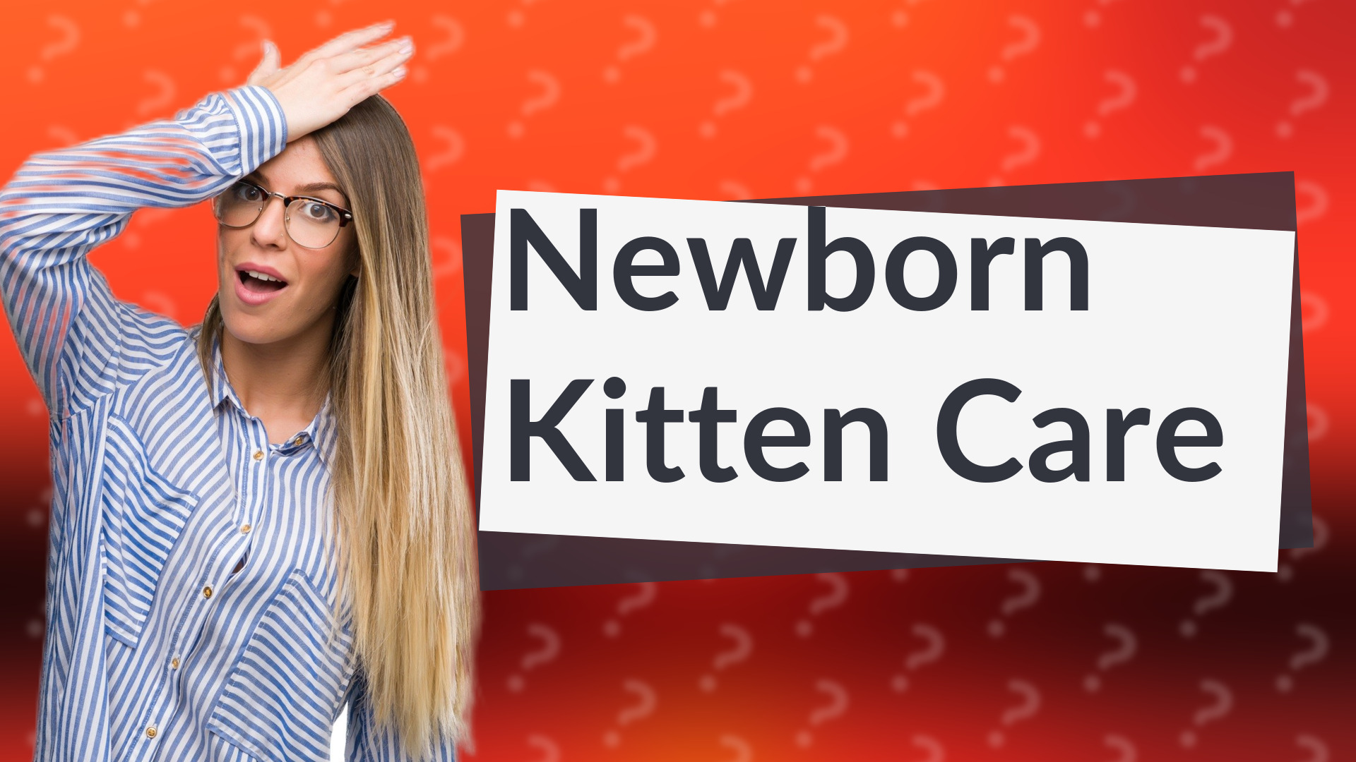 Newborn Kitten Care