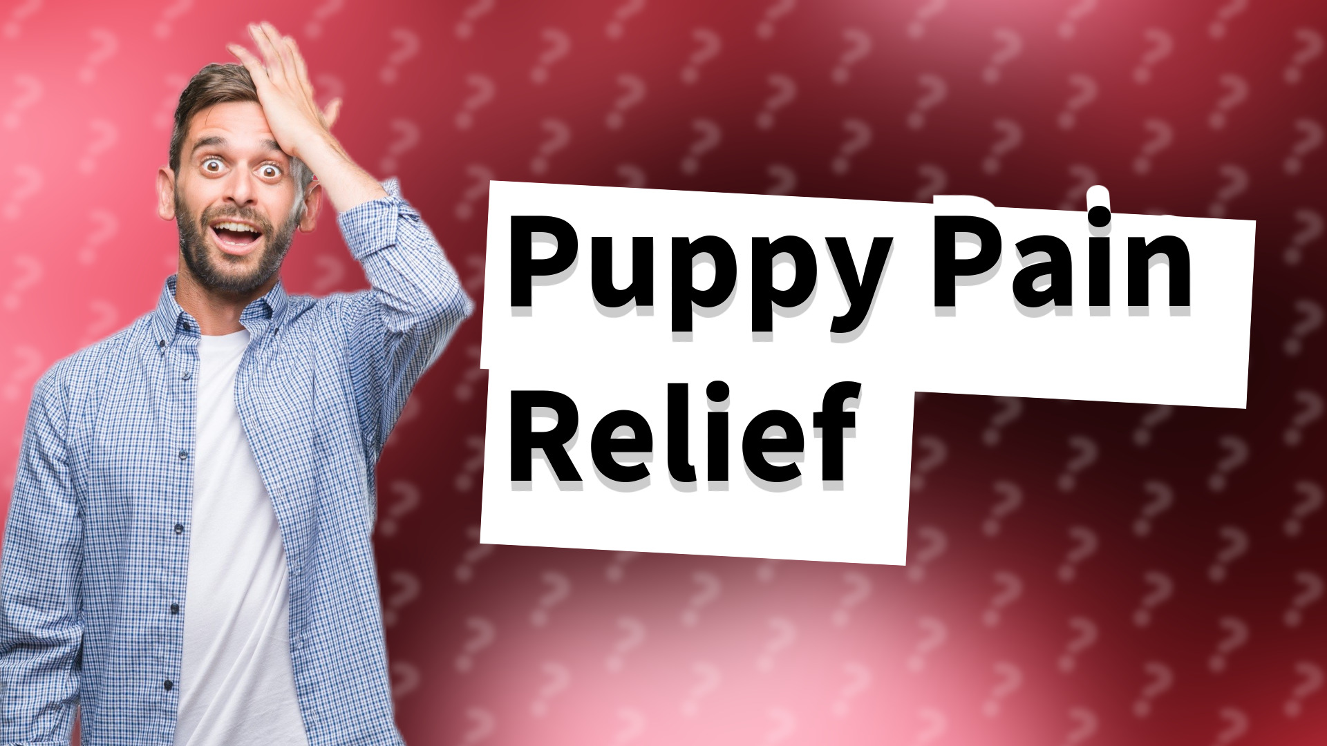 Puppy Pain Relief