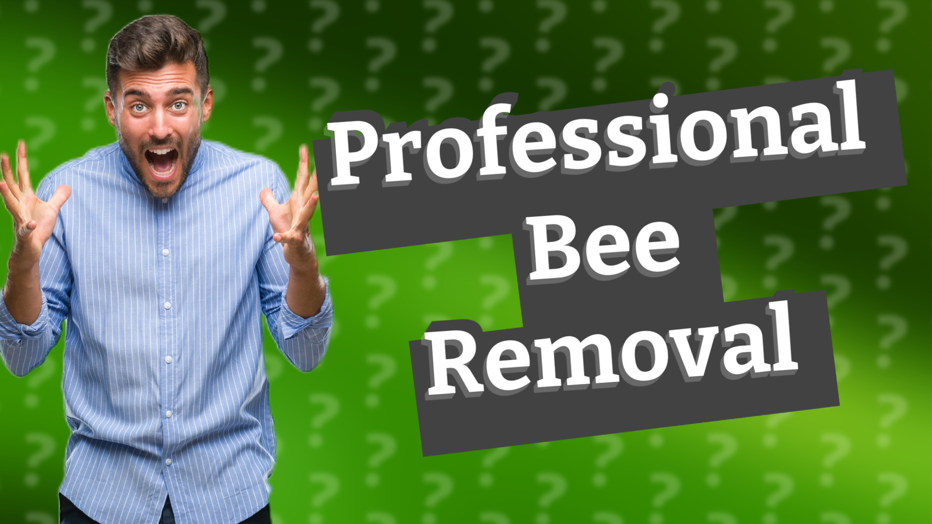 Professional Bee Removal