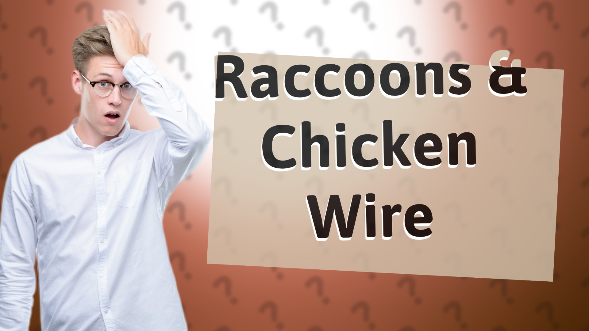 Raccoons & Chicken Wire