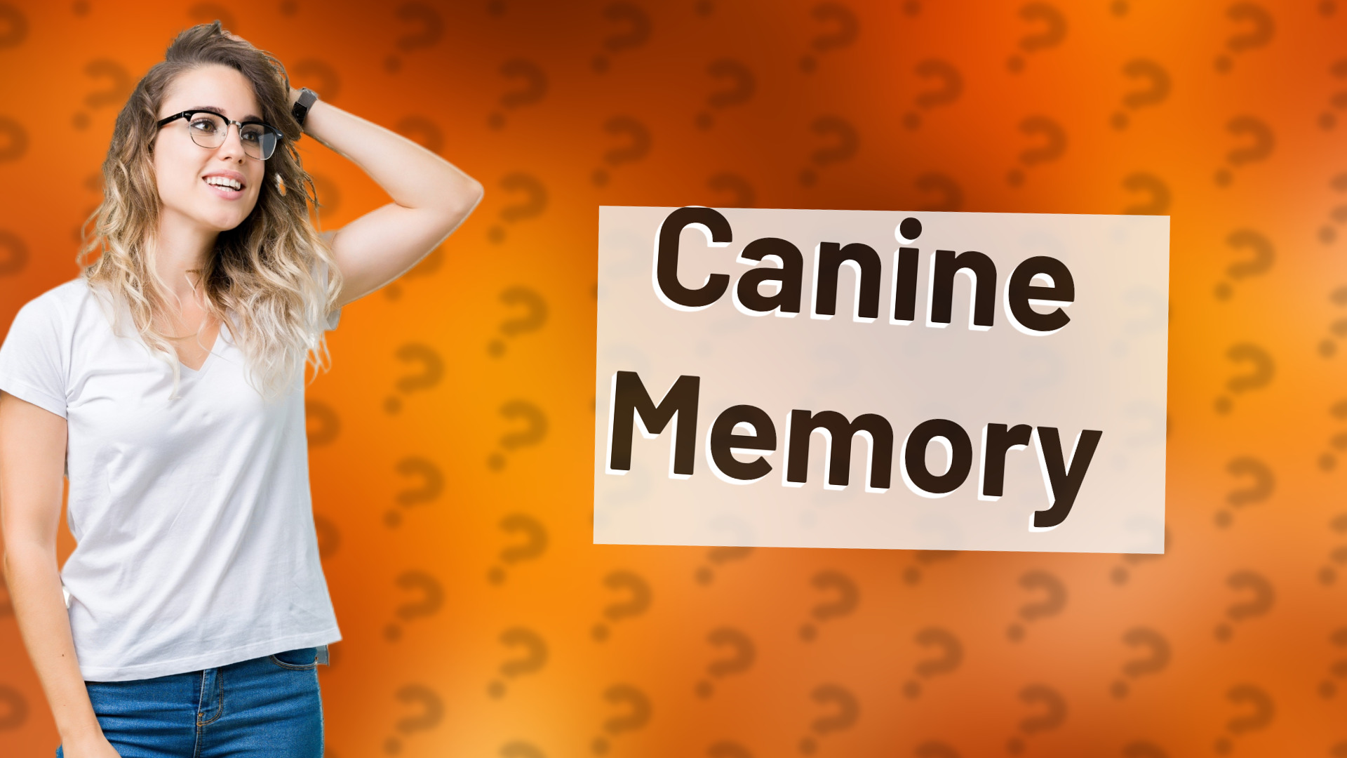 Canine Memory