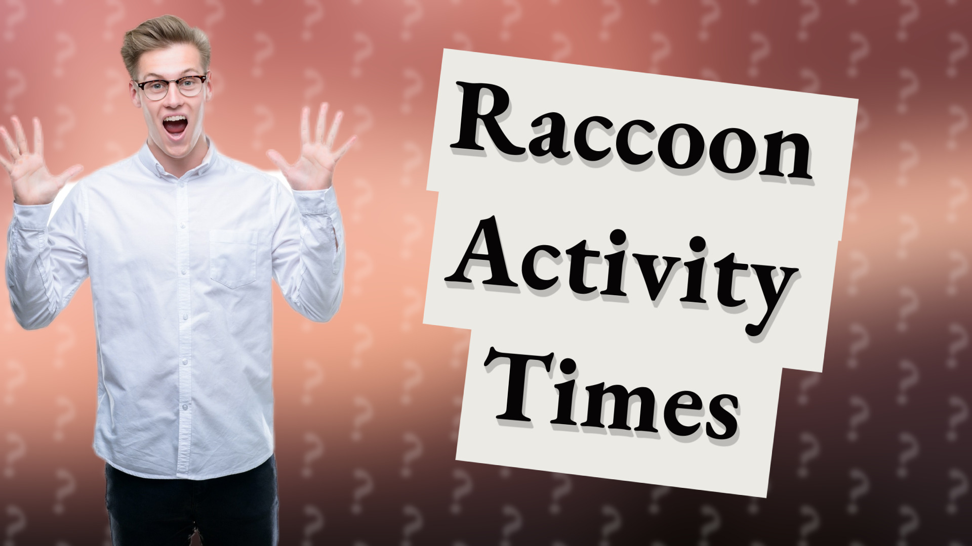 Raccoon Activity Times