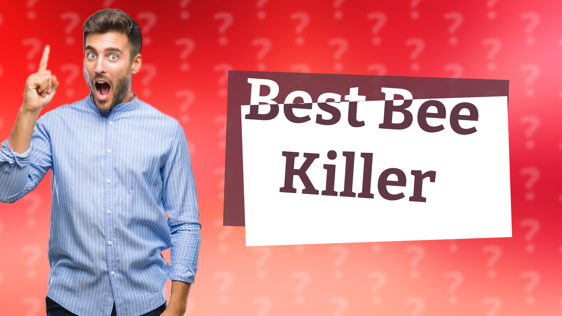 Best Bee Killer