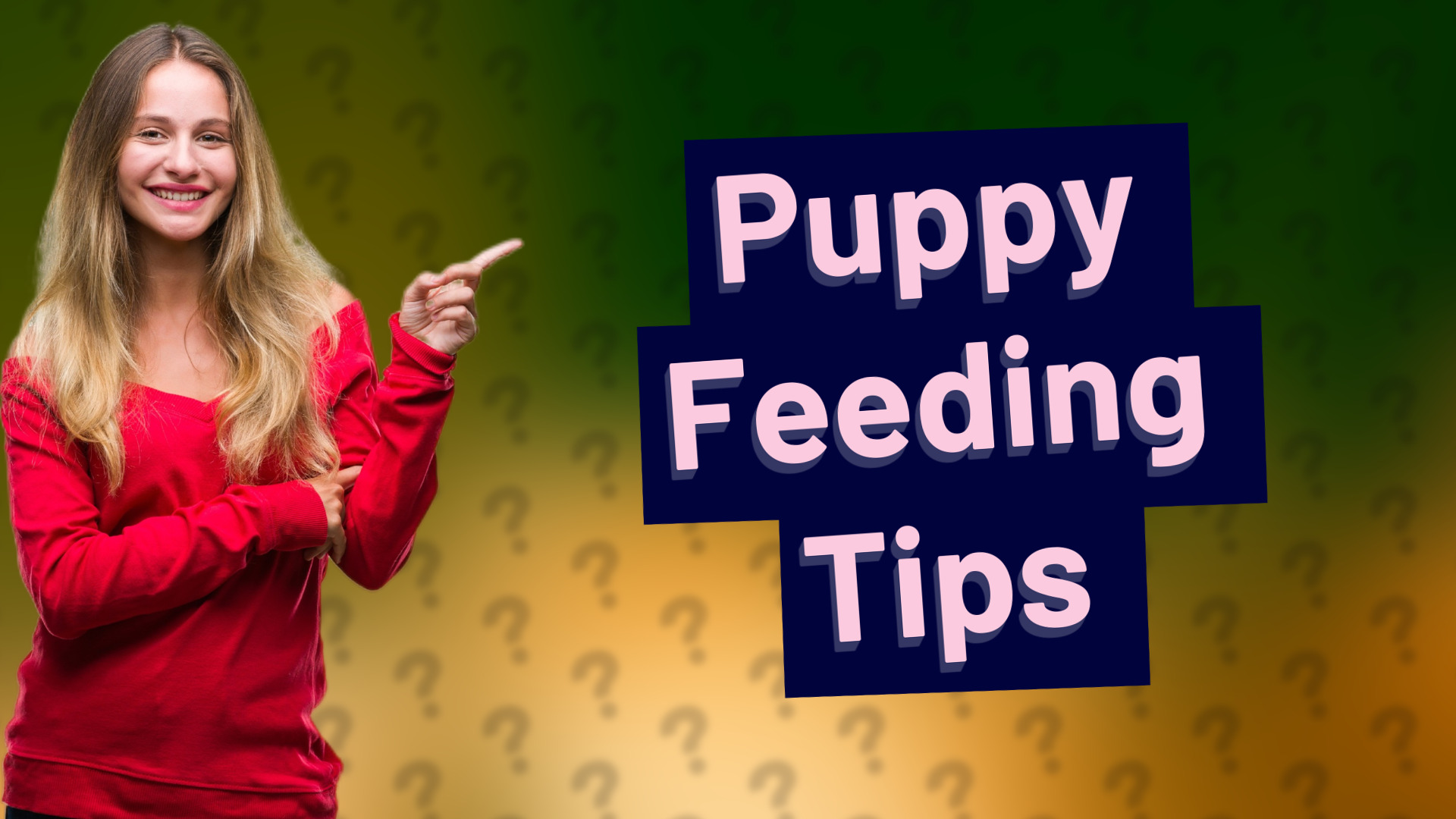 Puppy Feeding Tips