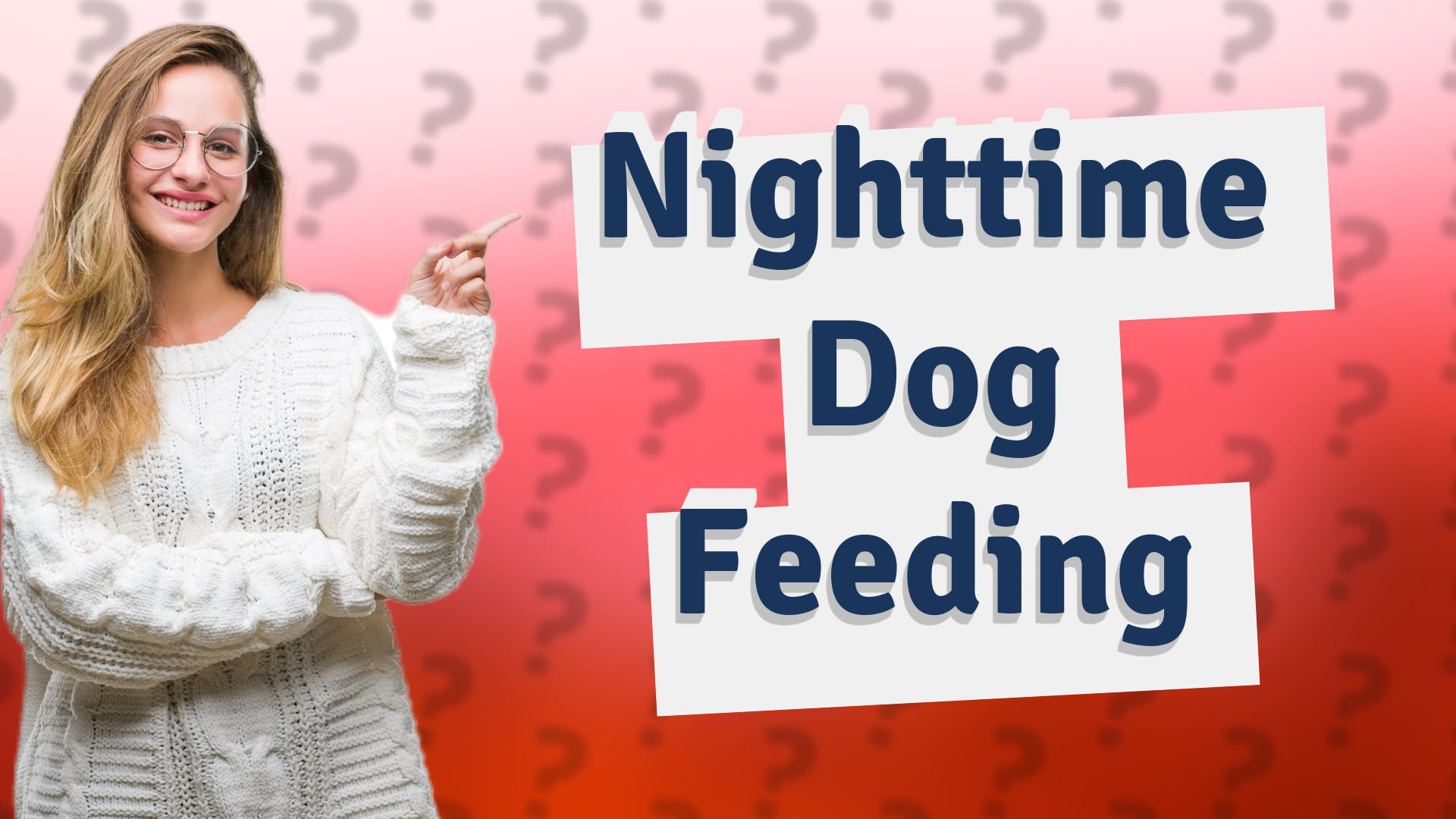 Nighttime Dog Feeding