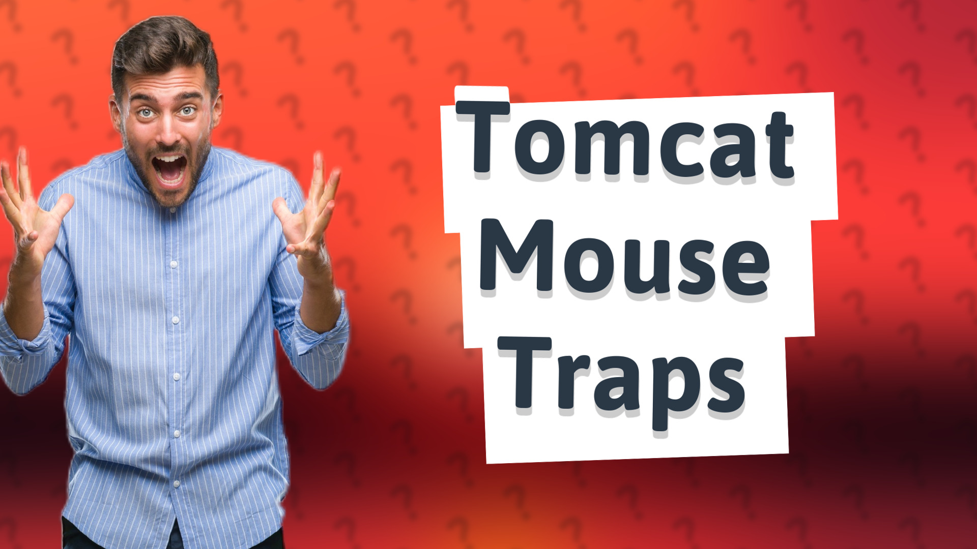 Tomcat Mouse Traps