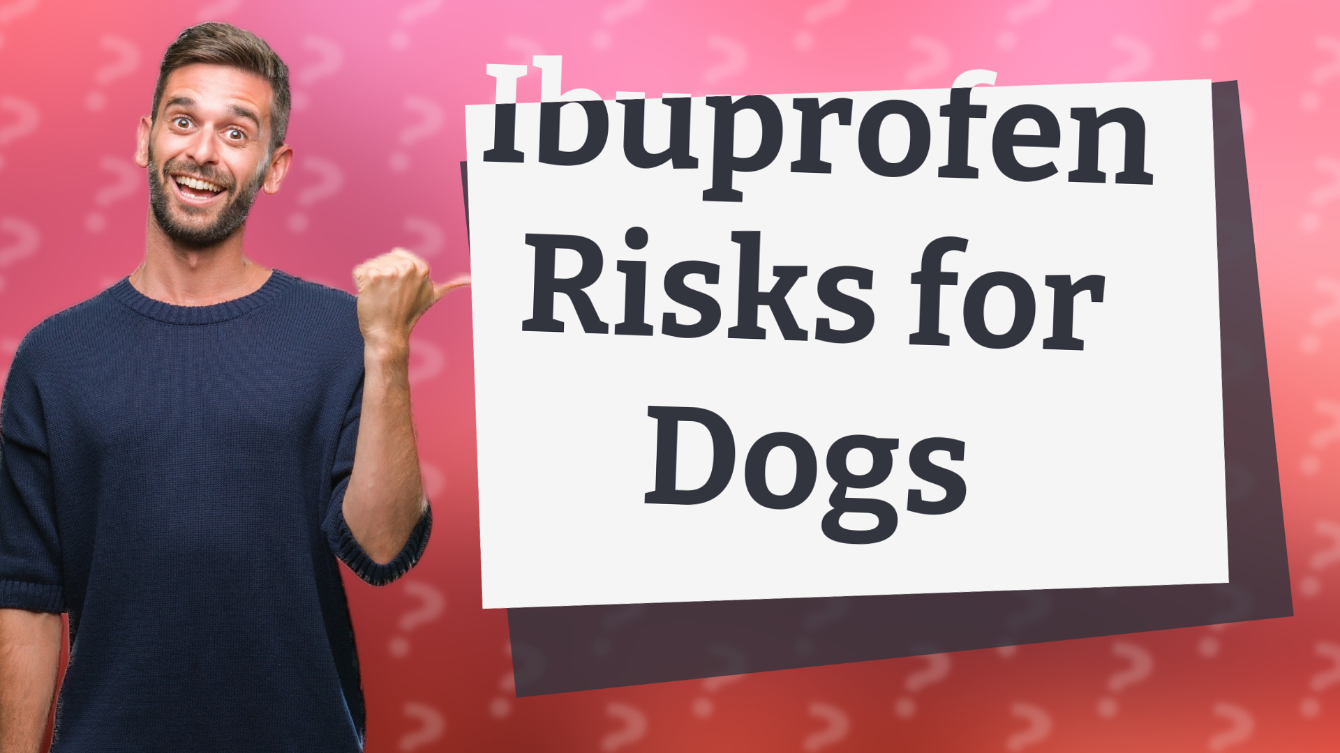 Ibuprofen Risks for Dogs