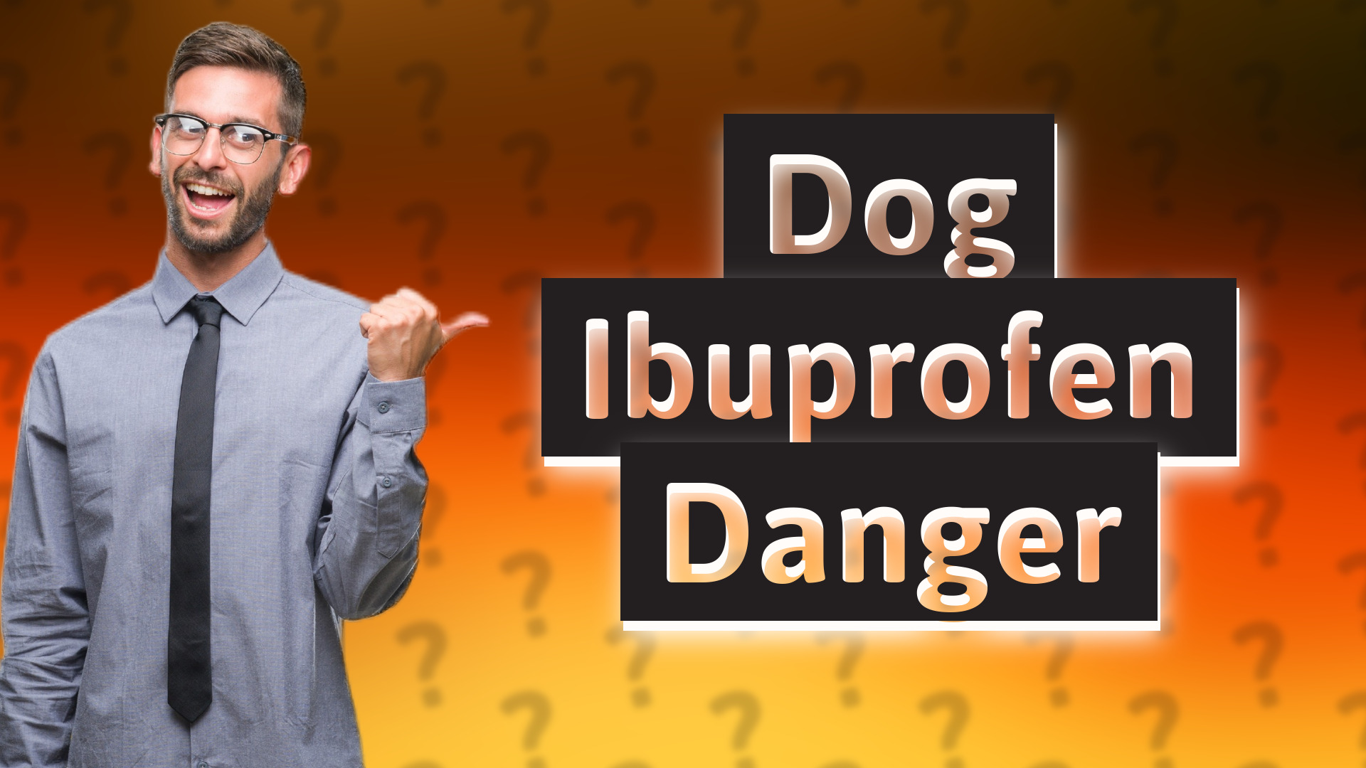 Dog Ibuprofen Danger