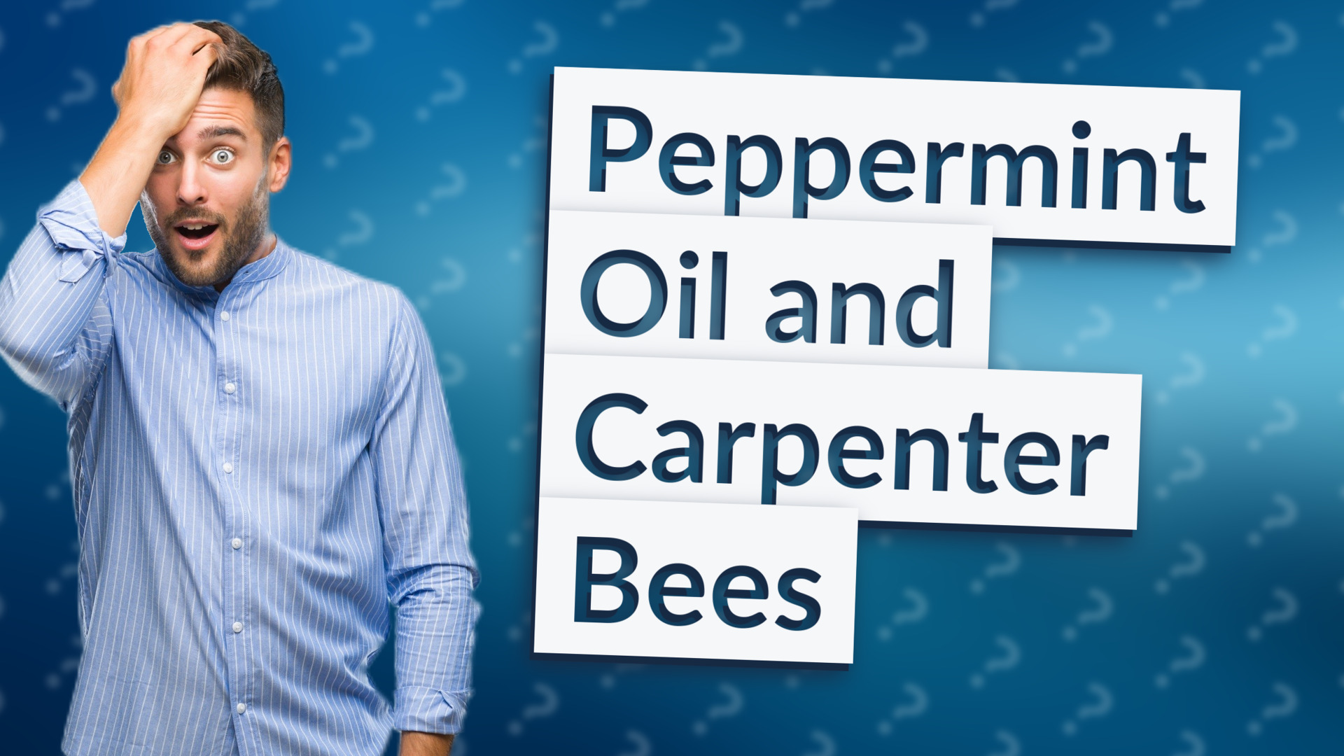 Peppermint Oil and Carpenter Bees
