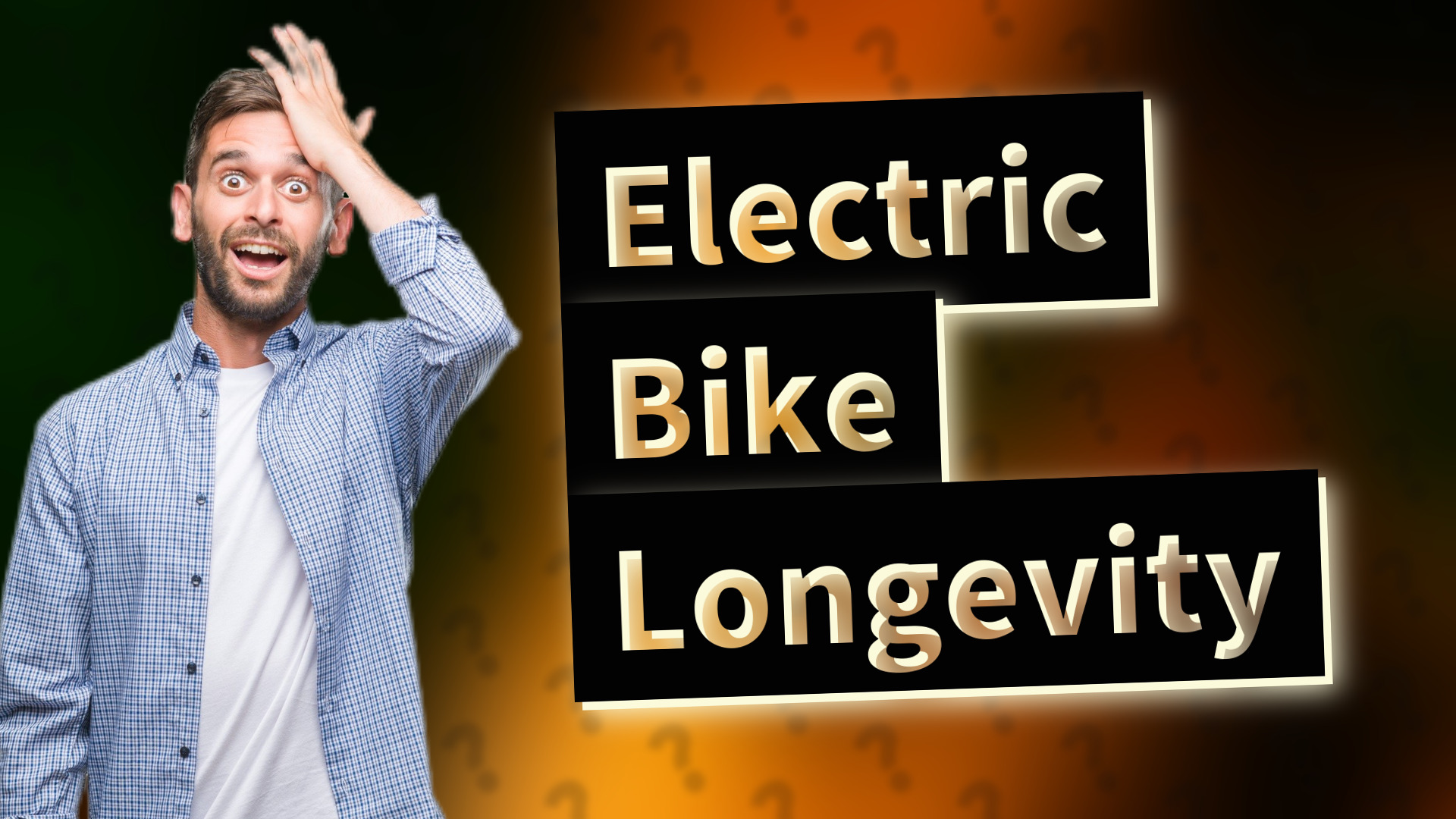 Electric Bike Longevity