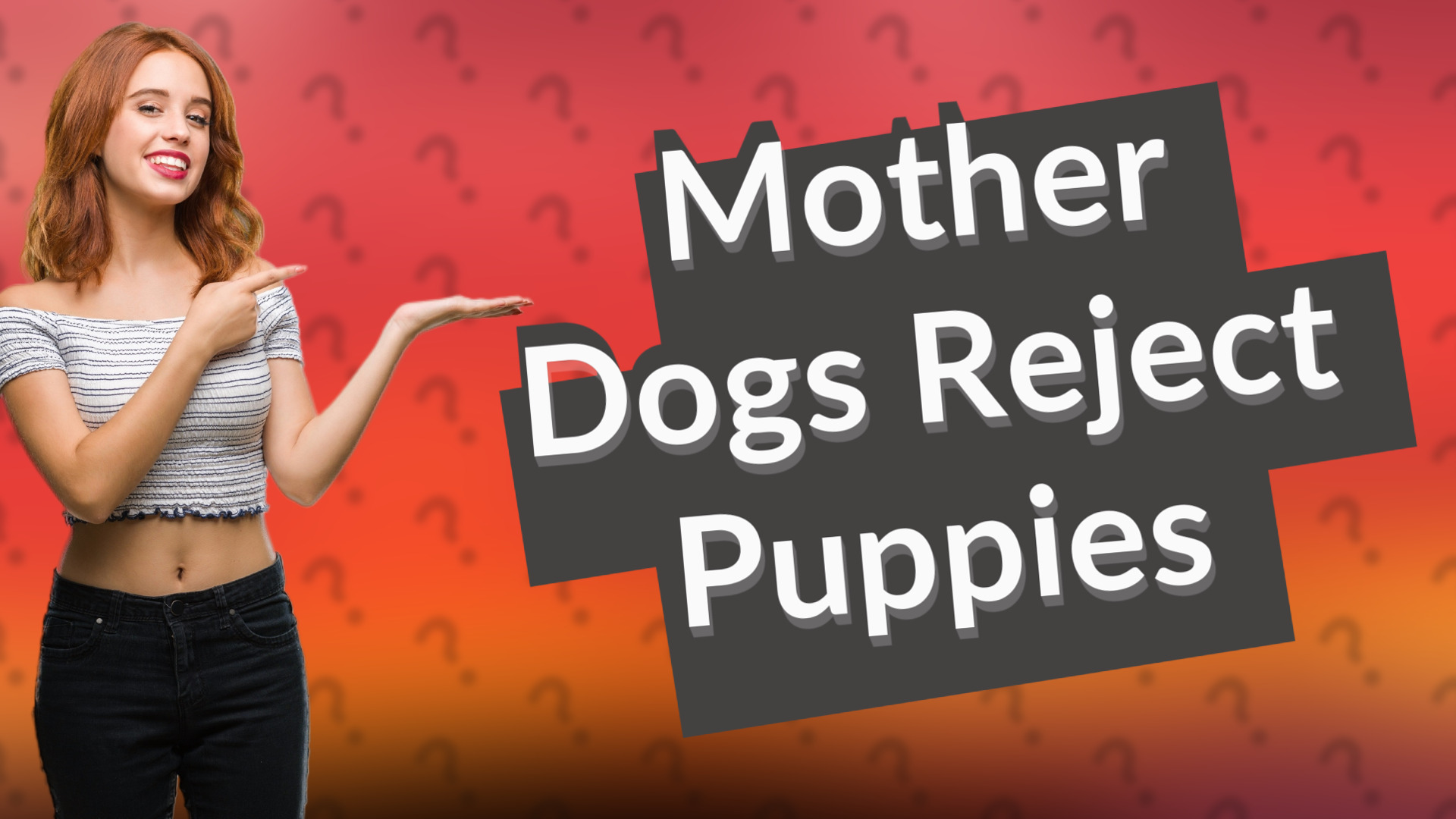 Mother Dogs Reject Puppies