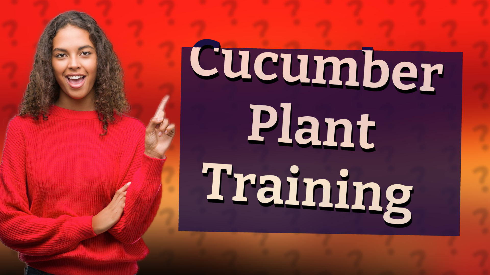 Cucumber Plant Training