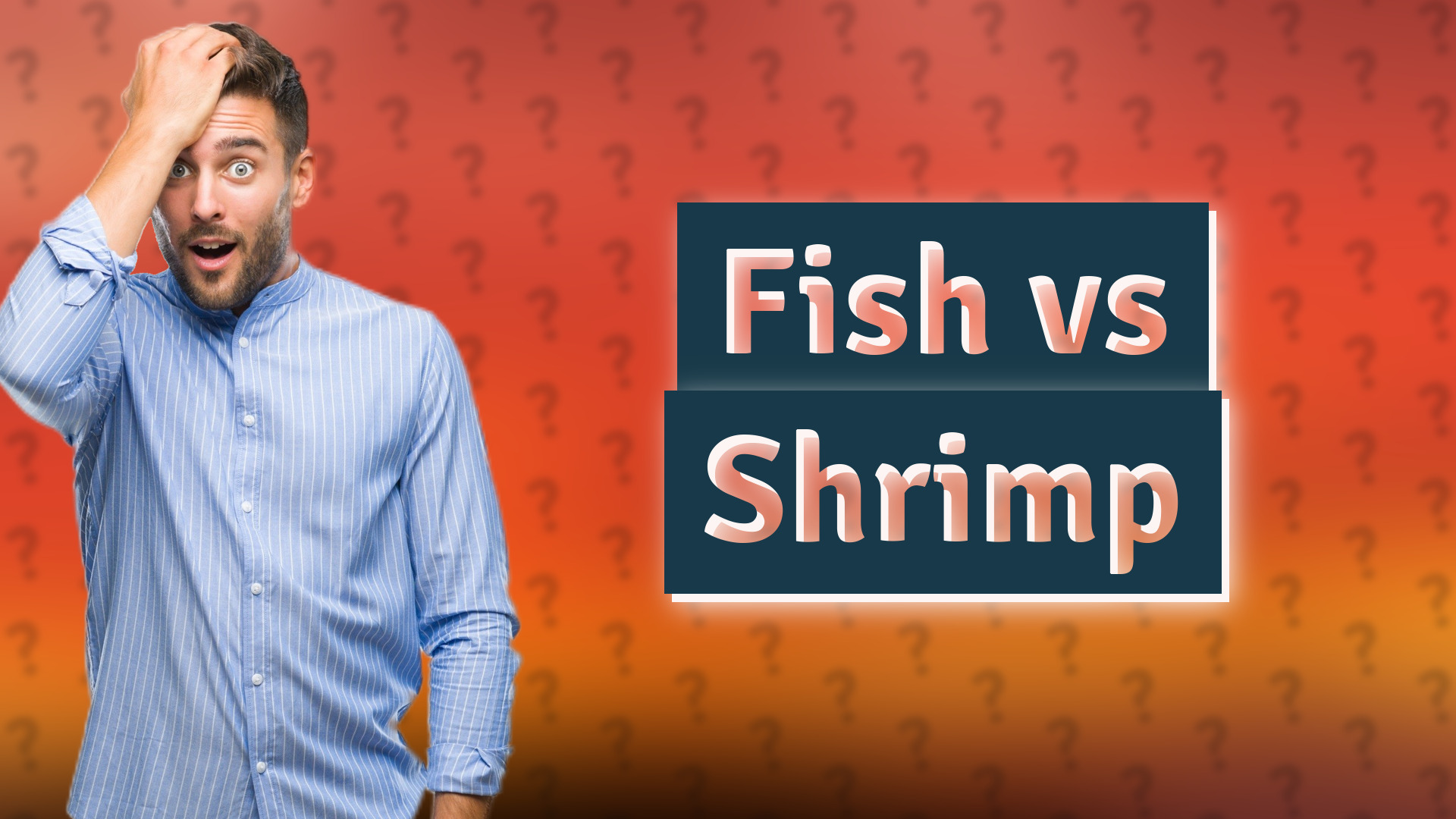 Fish vs Shrimp