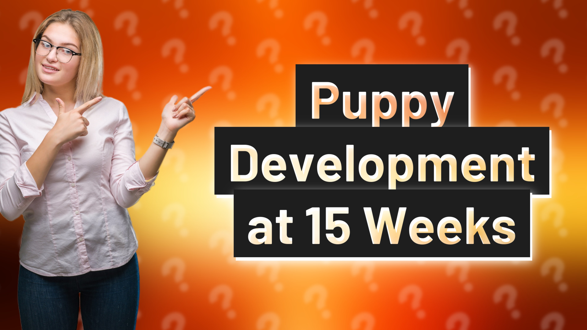 Puppy Development at 15 Weeks