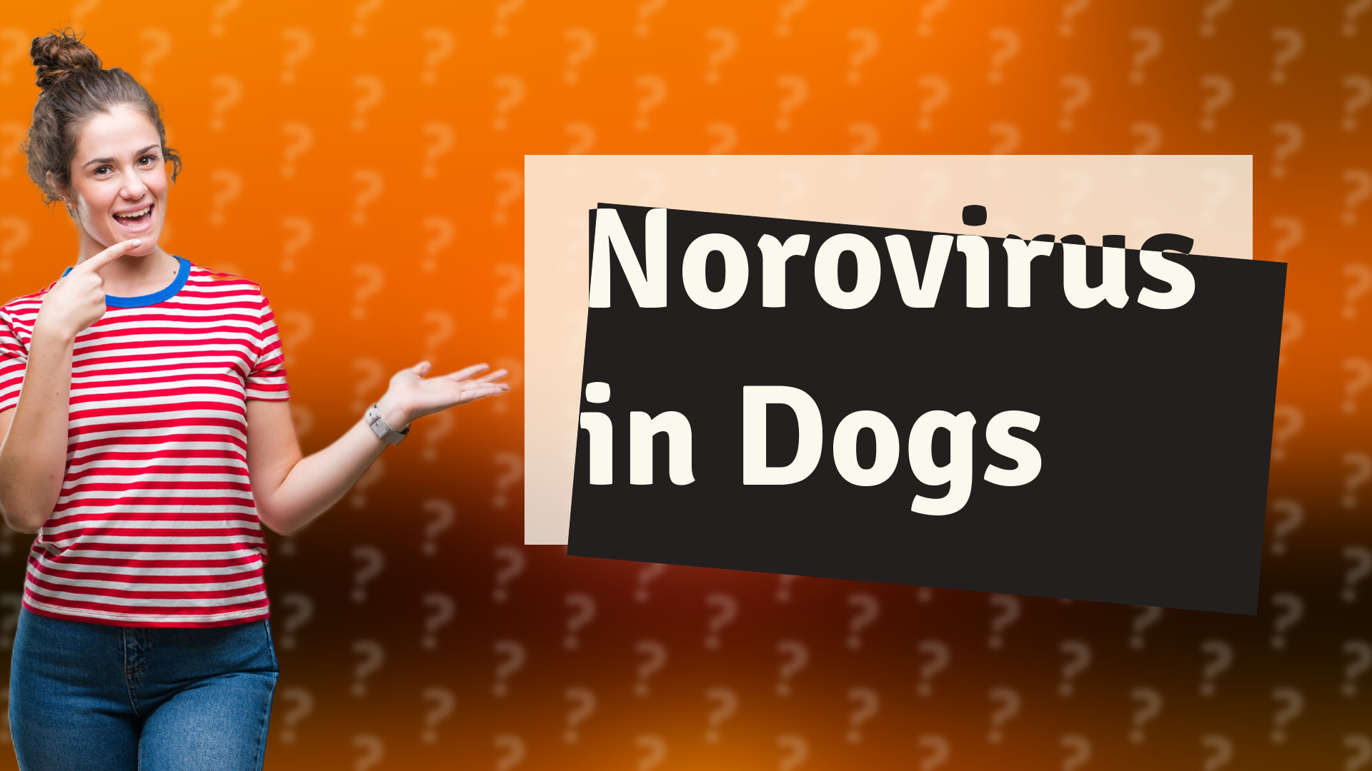 Norovirus in Dogs