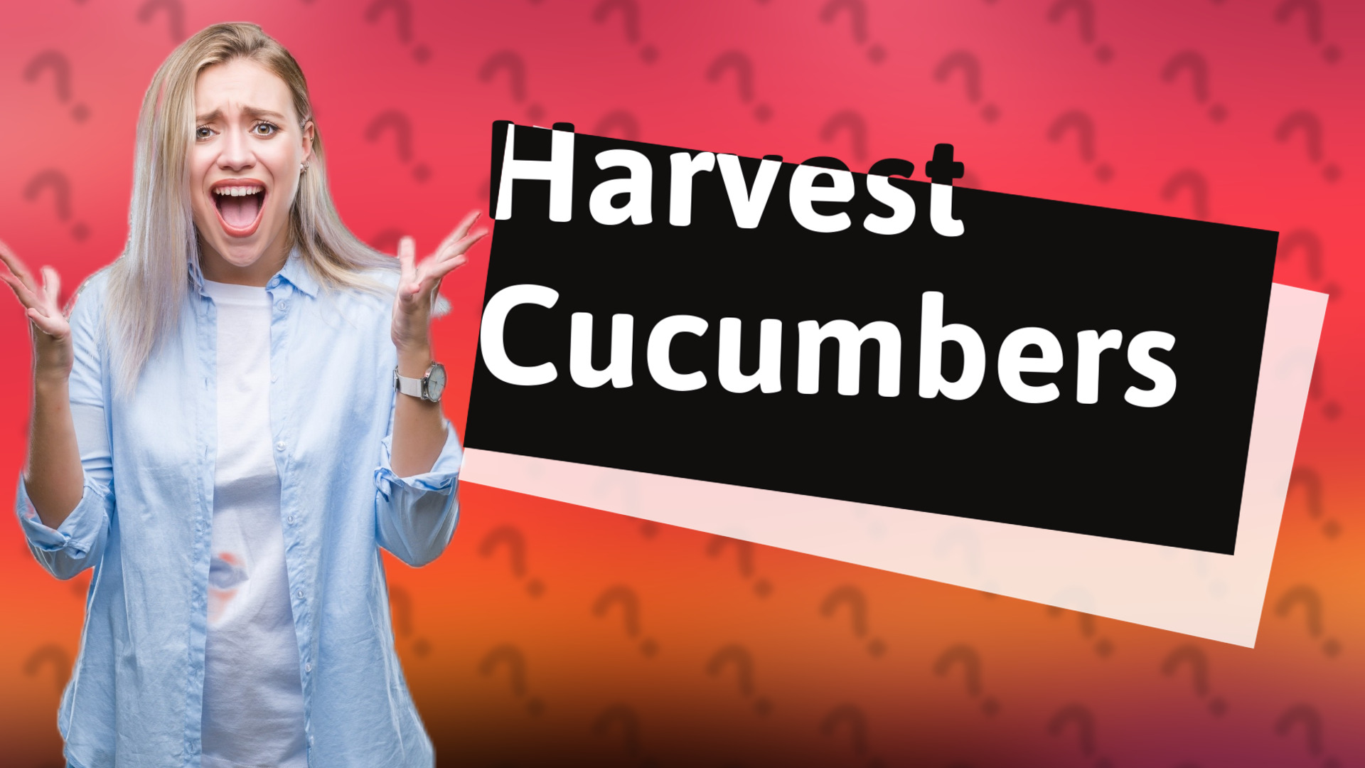 Harvest Cucumbers