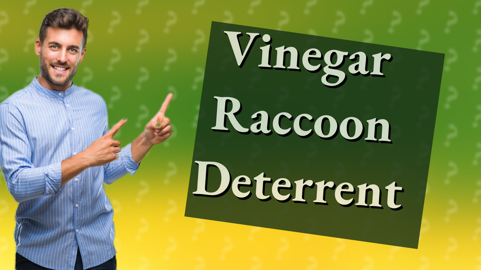 Vinegar Raccoon Deterrent