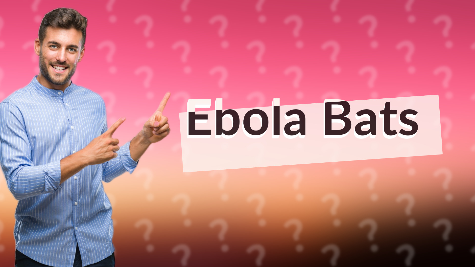 Ebola Bats