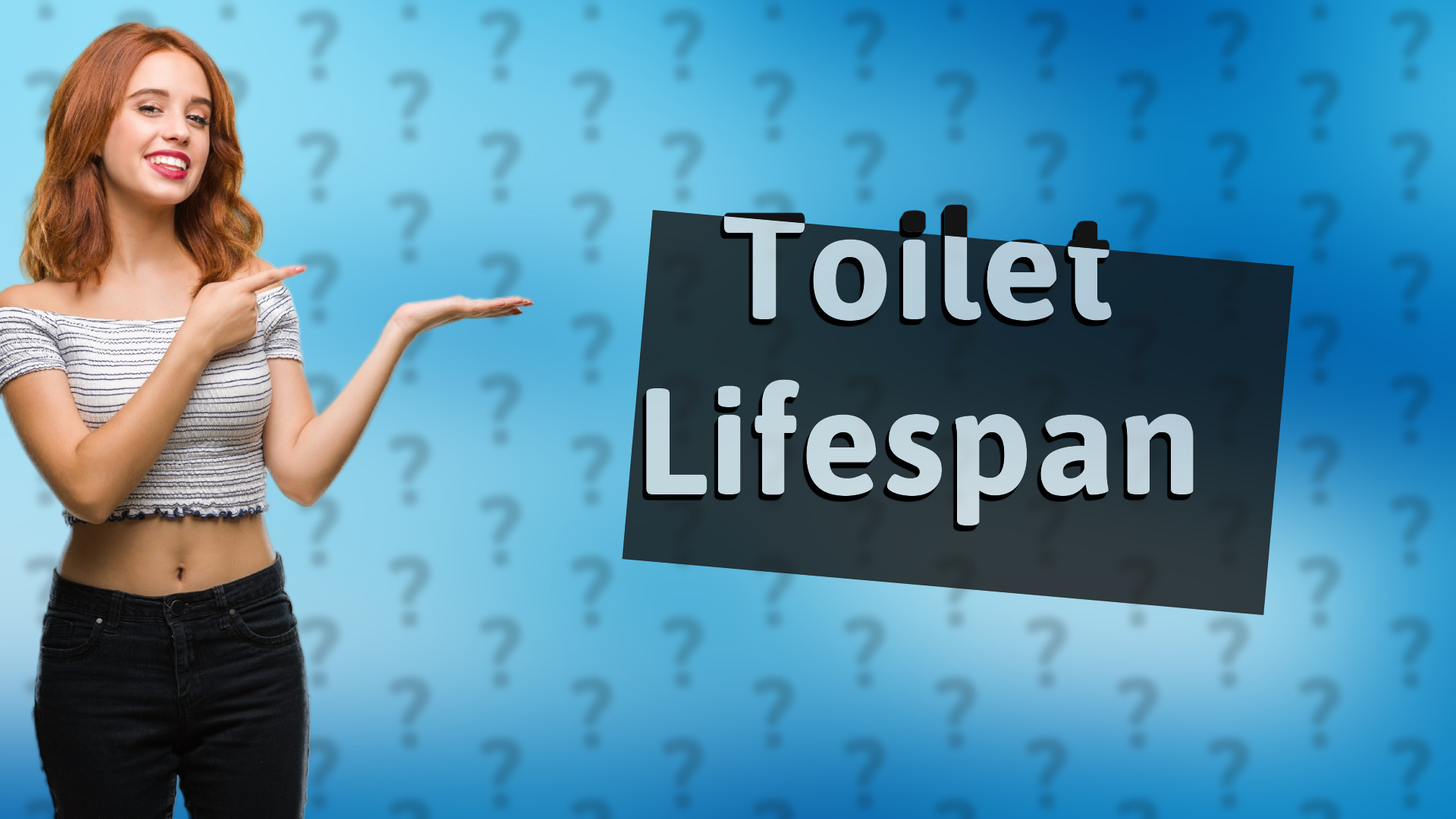 Toilet Lifespan